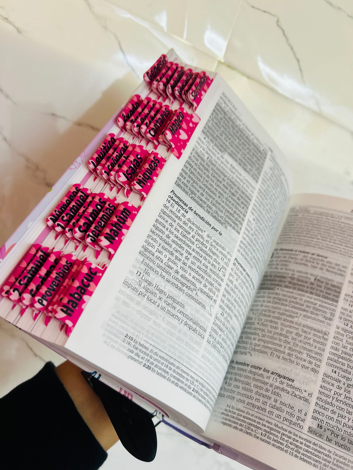 Biblia de promesas para niñas versión NTV tapa dura + personalizado