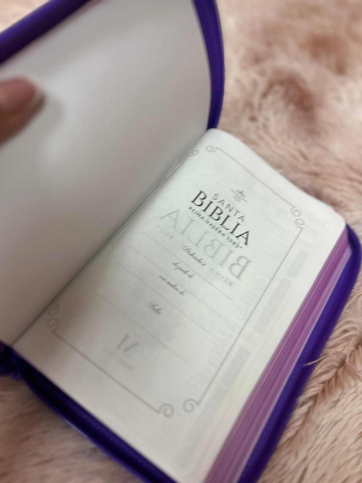 Biblia de letra grande 11,5 puntos con cierre en símil piel canto pintado palabras de Jesús en rojo y concordancia