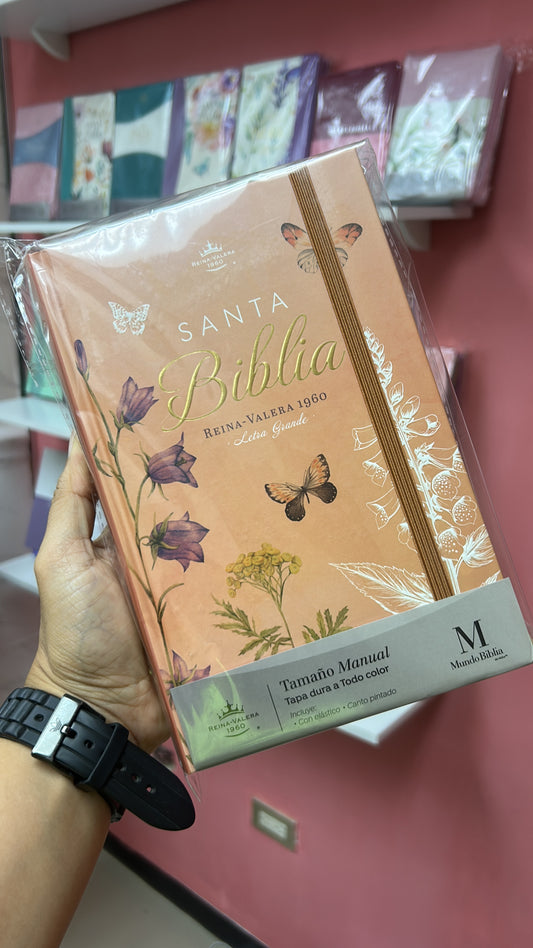 Biblia versión RV1960 de tapa dura diseño en relieve de letra grande 12 puntos con canto pintado, liga, palabras de Jesús en rojo con concordancia