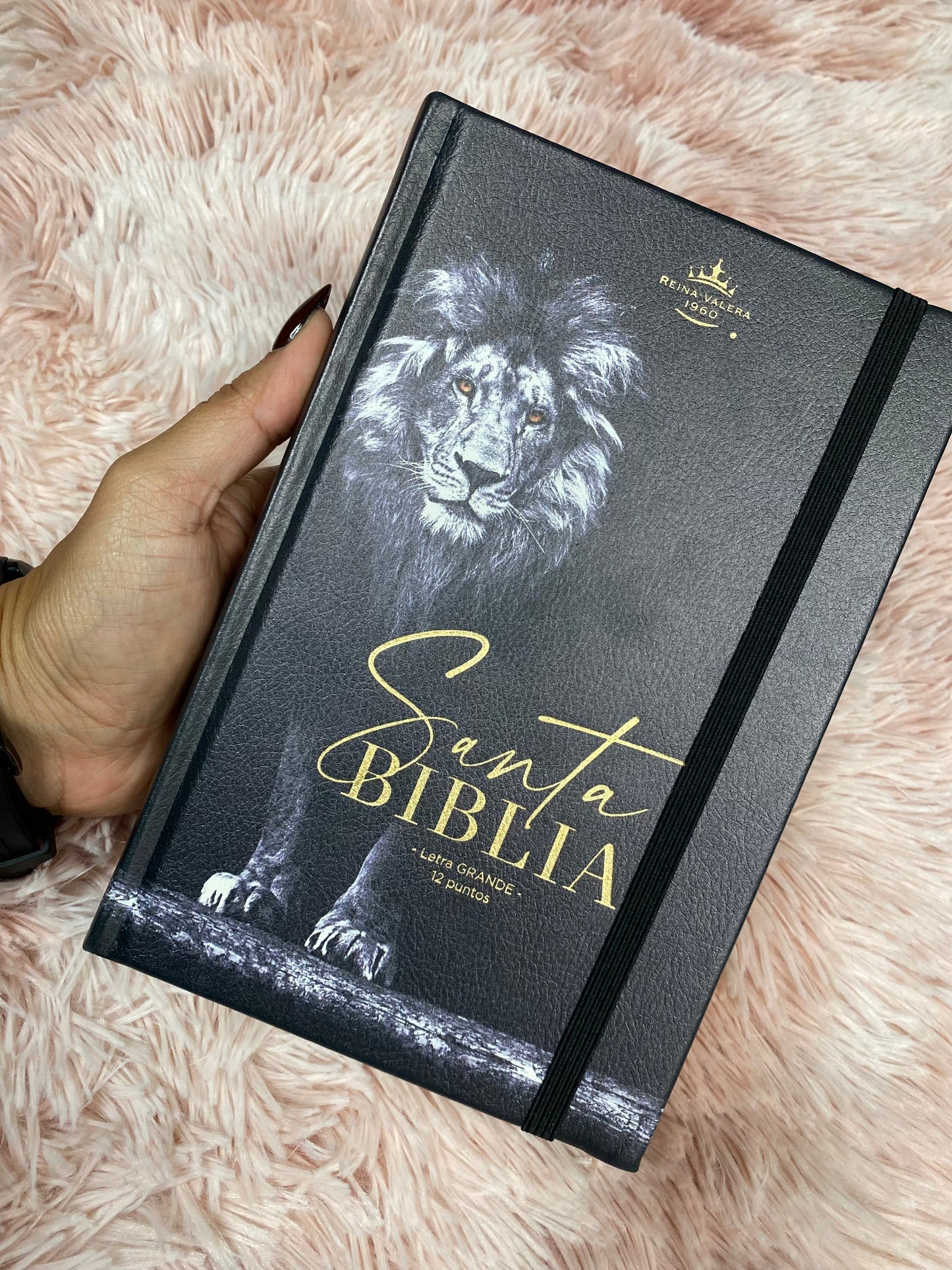 Biblia tapa dura letra grande canto dorado palabras de Jesús en rojo versión RV1960