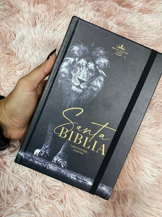 Biblia tapa dura letra grande canto dorado palabras de Jesús en rojo versión RV1960