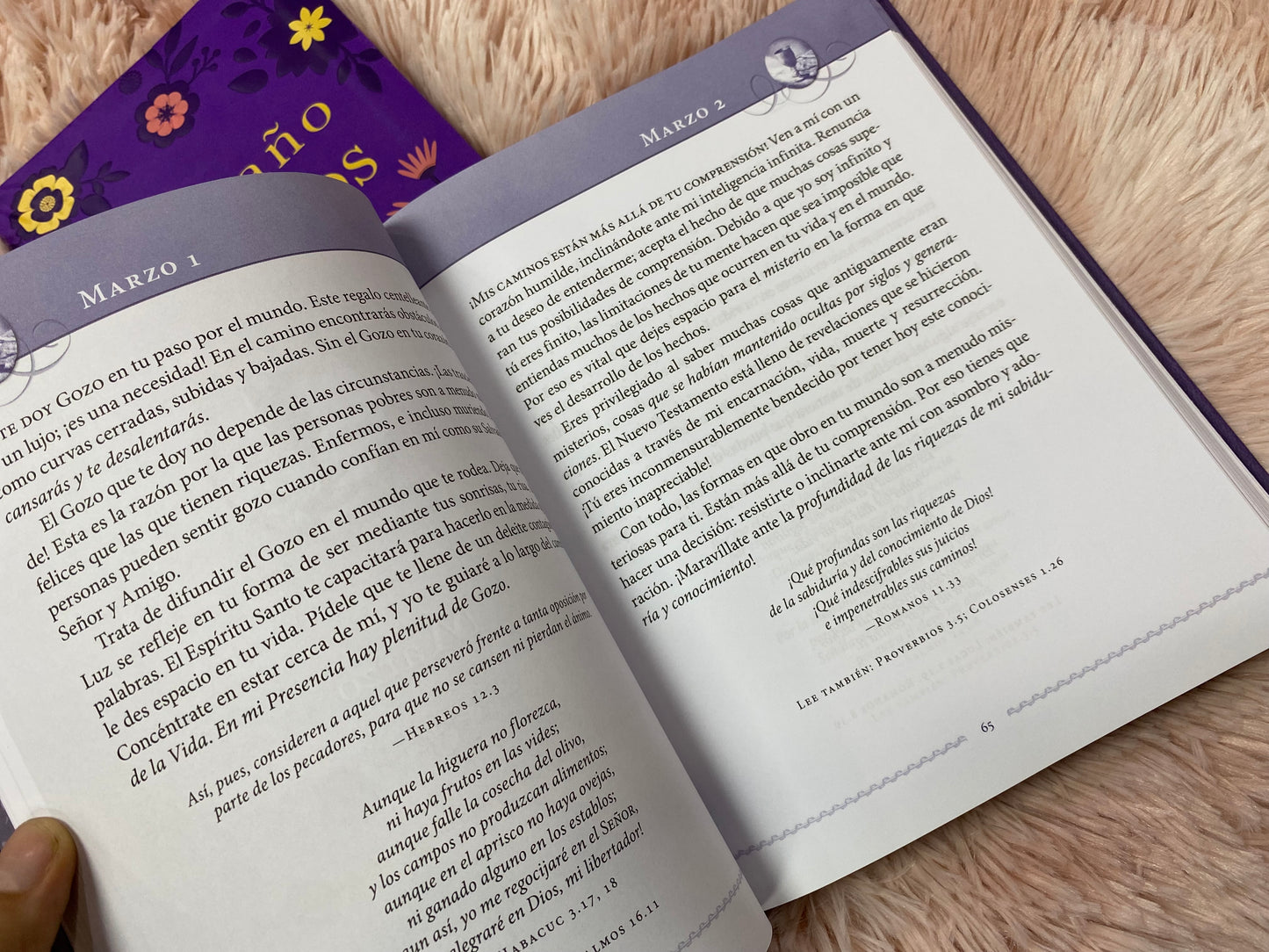 Libro devocional: Jesús siempre, descubre el gozo en su presencia