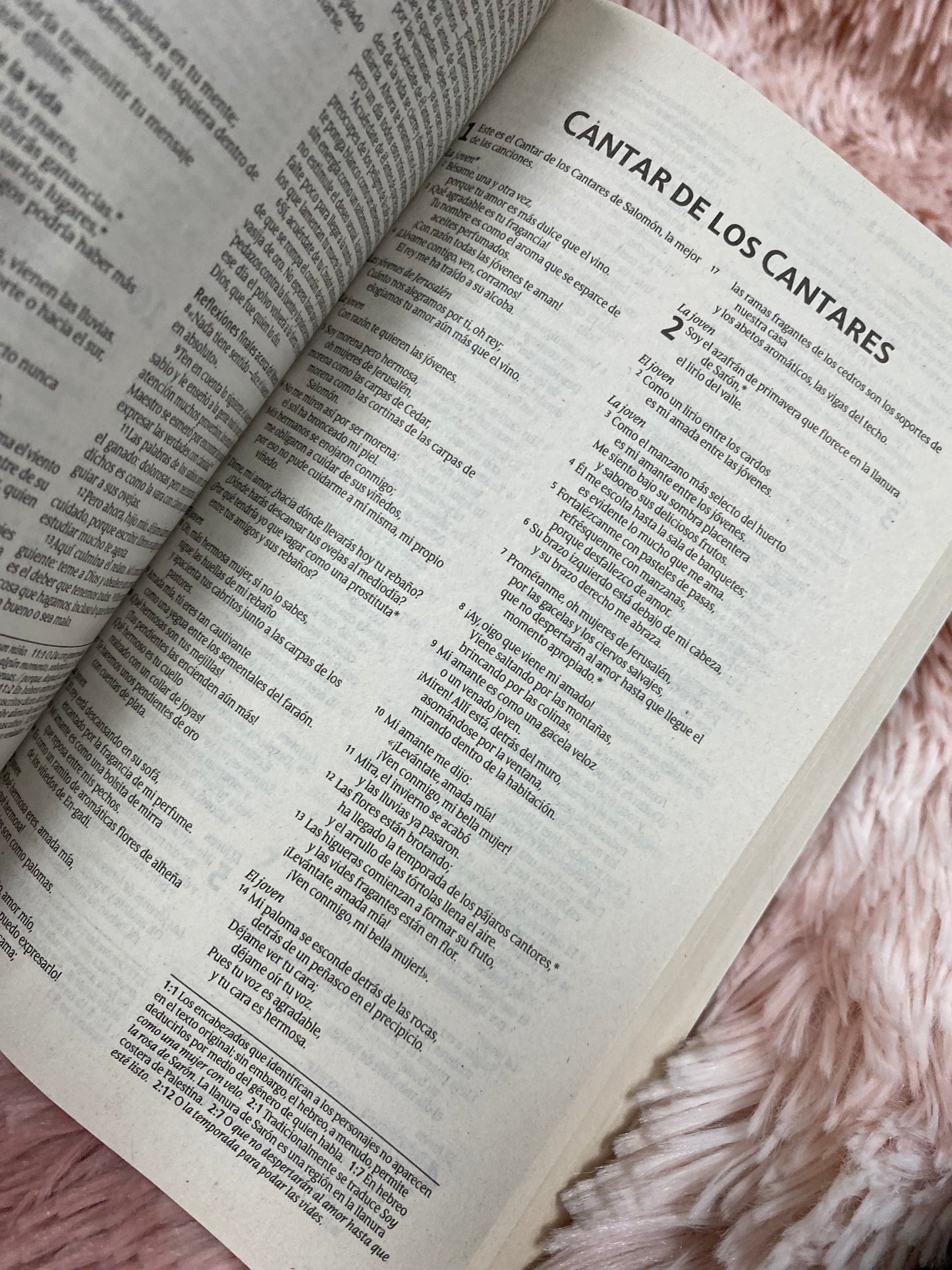 Biblias económicas tapa rústica papel imprenta versión NTV