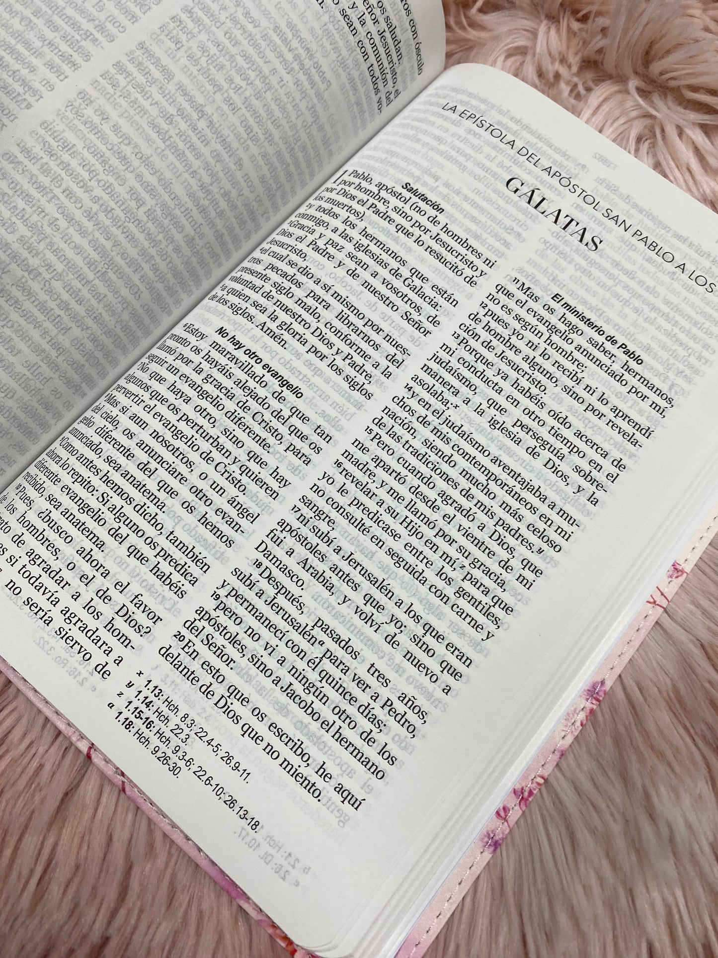 Biblia letra grande 12 puntos tapa flexible versión RV1960 con concordancia