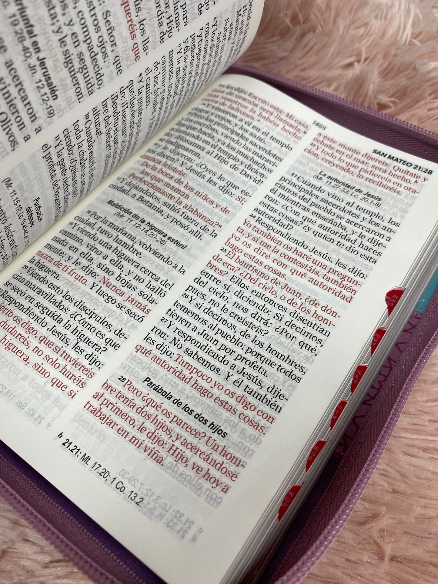 Biblia mediana letra grande 11 puntos con cierre e índice versión RV960 palabras de Jesús en rojo con concordancia