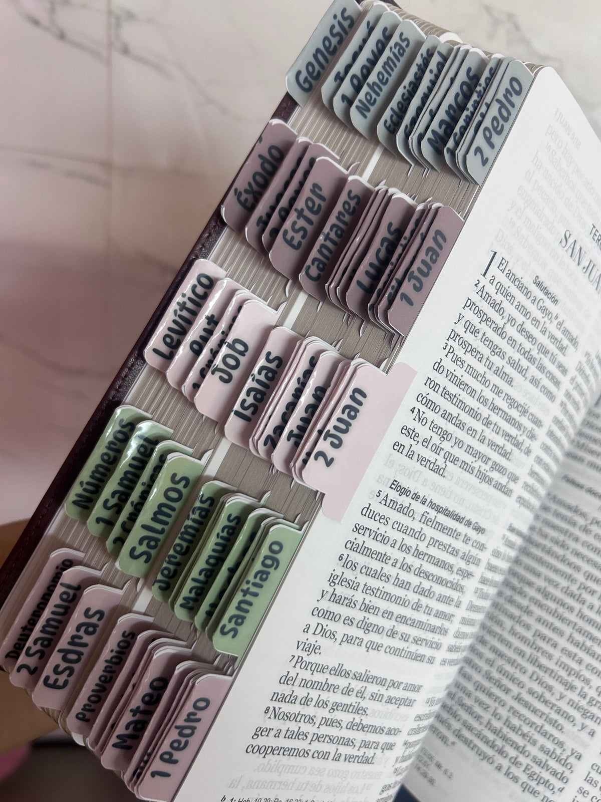 Biblia RV1960 letra gigante 14 puntos + personalizado