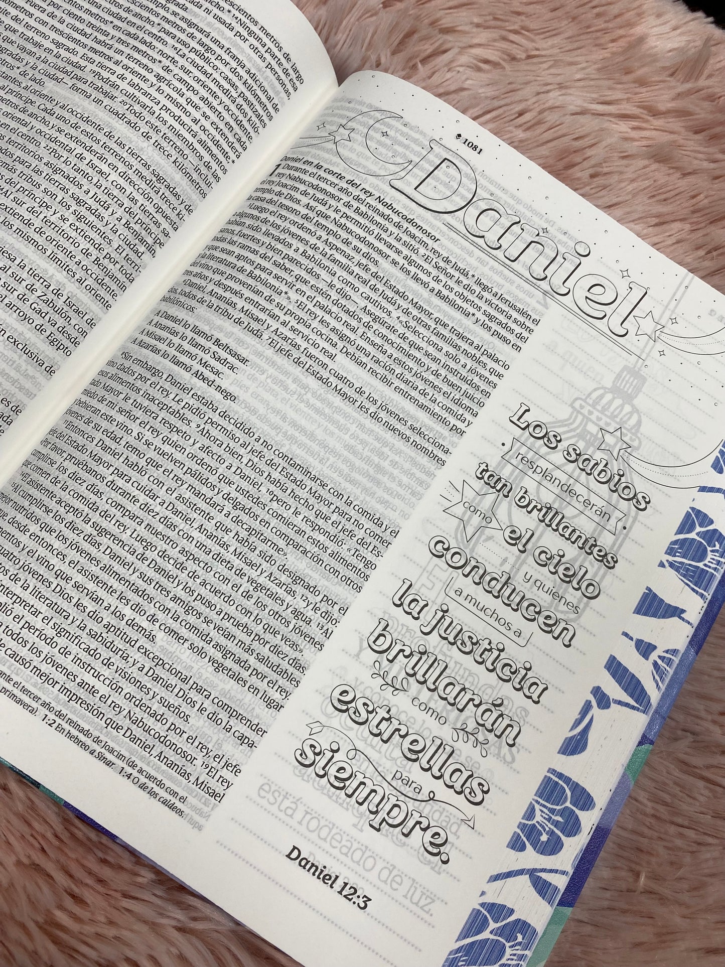 Biblia inspira artística versión NTV de letra grande