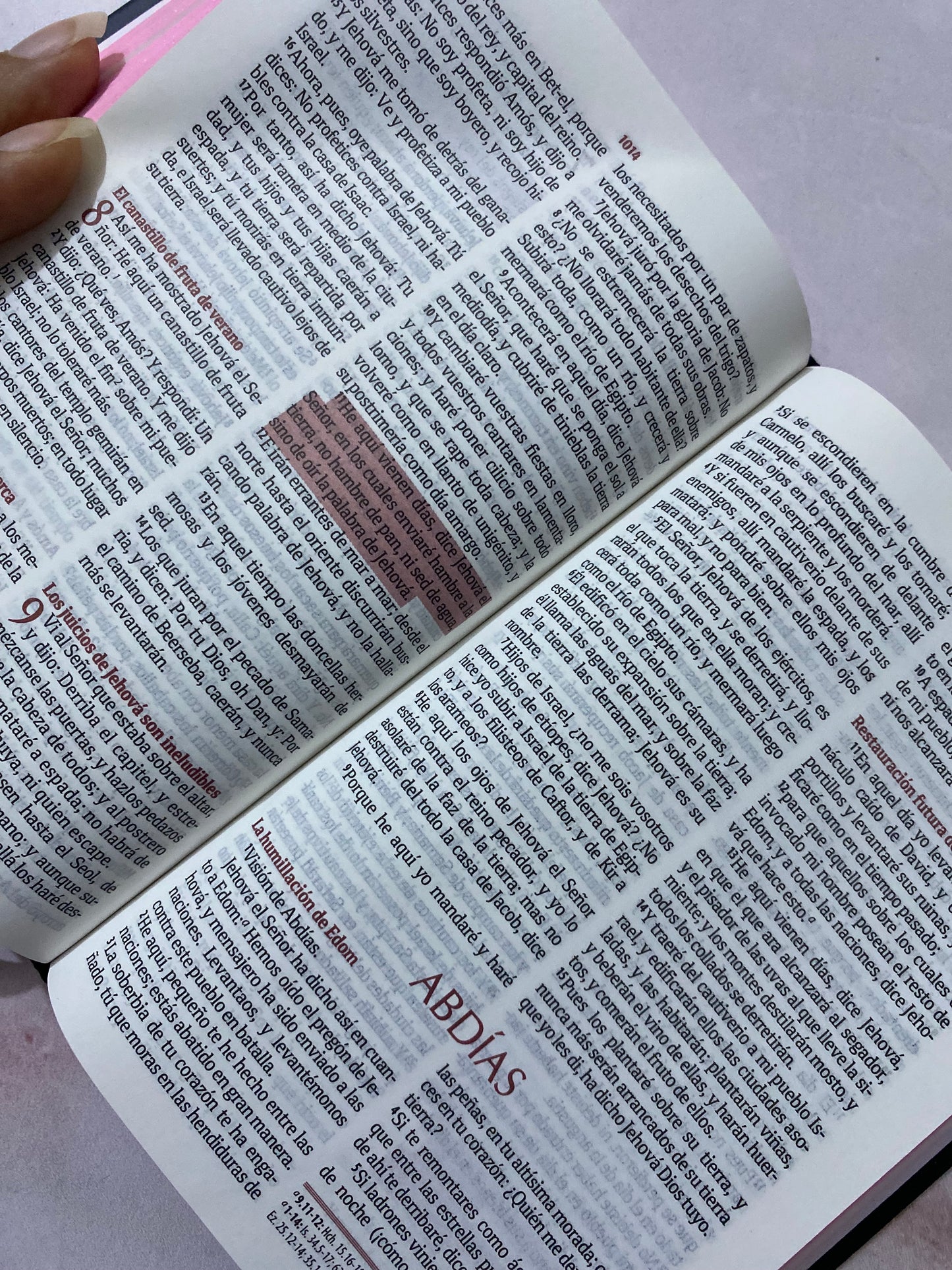 Biblia de promesas tapa dura versión RV1960 letra 8 puntos con concordancia y referencias