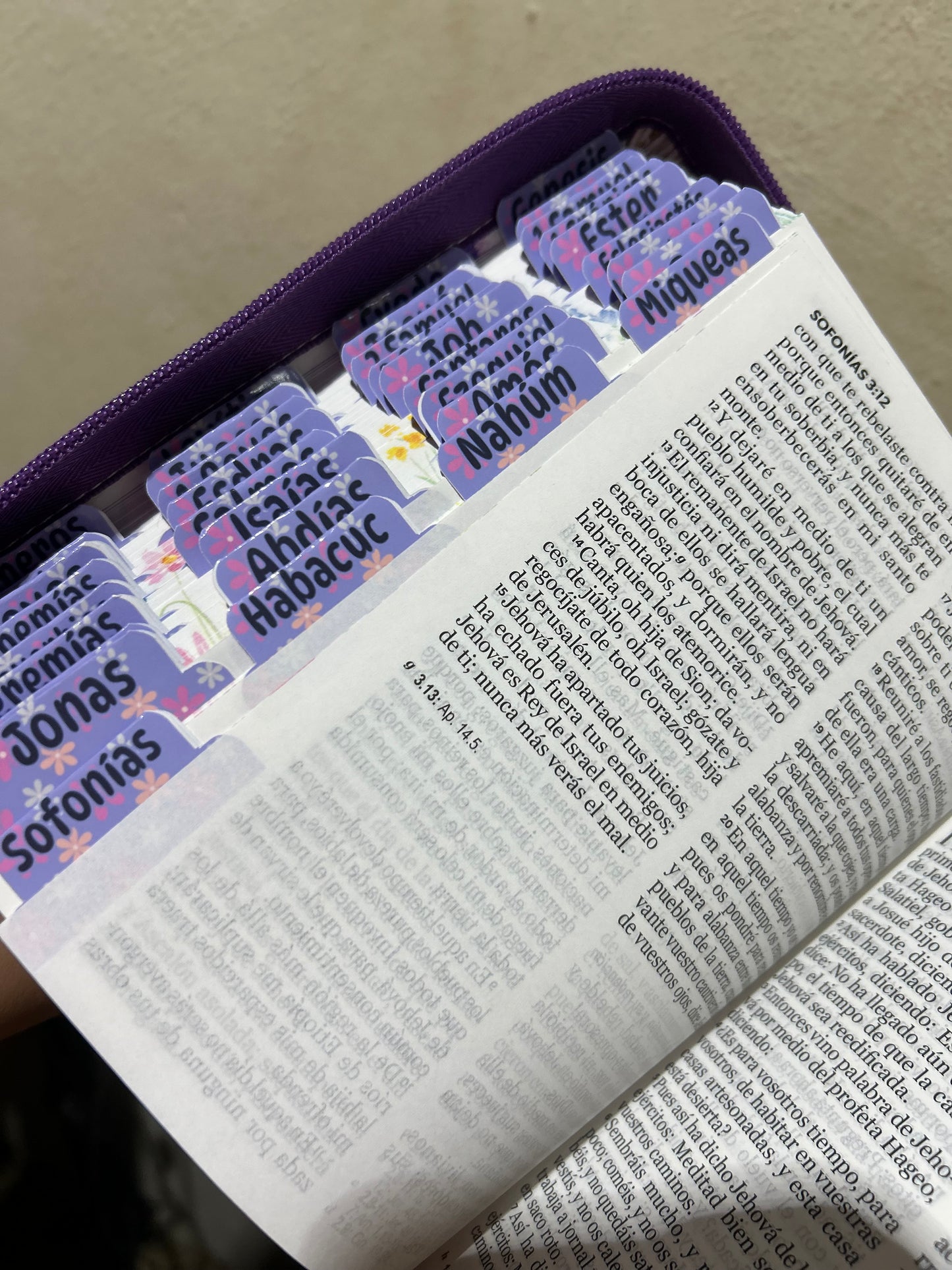 Biblia RV1960 letra grande 11 puntos con cierre + personalizado