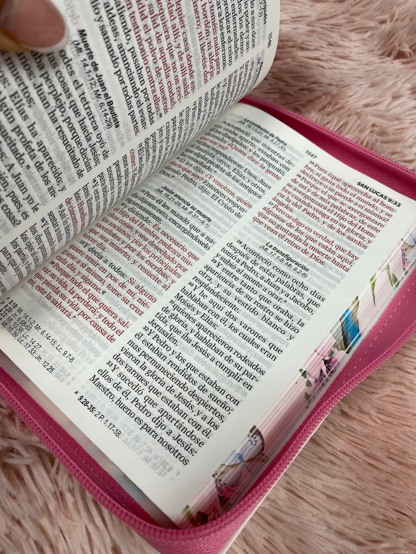 Biblia letra grande 11 puntos con cierre y canto floreado versión RV60 con concordancia