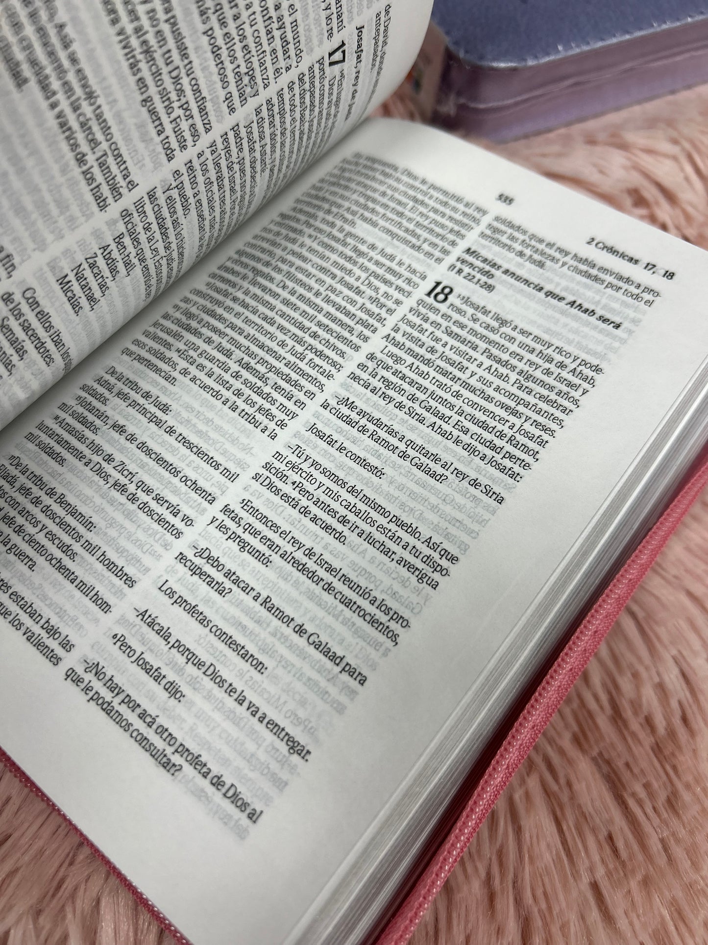 Biblia mediana tamaño compacta con cierre versión TLA letras grandes canto pintado