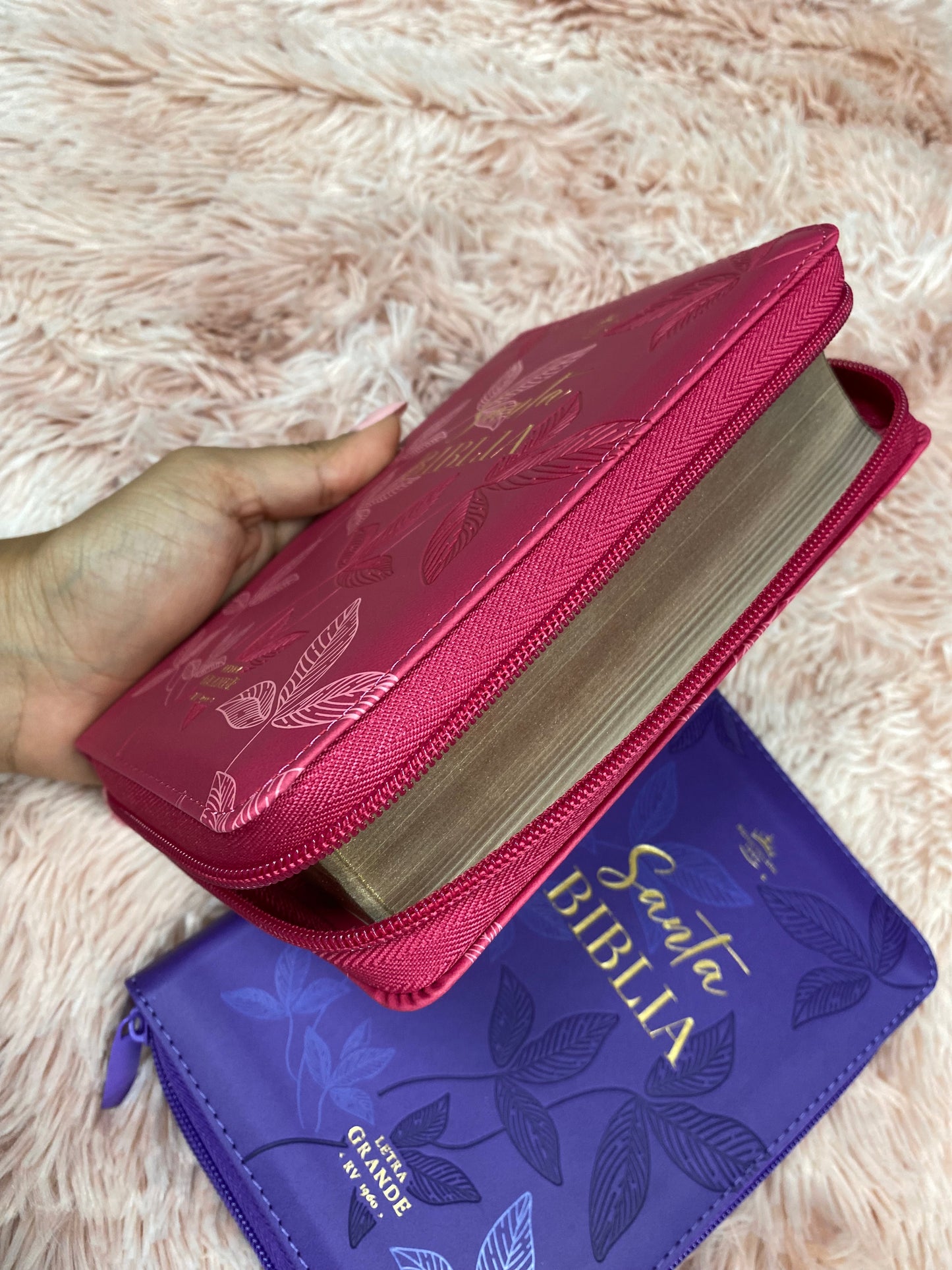 Biblia pequeña letra grande 10 puntos versión RV1960 con cierre canto dorado y concordancia