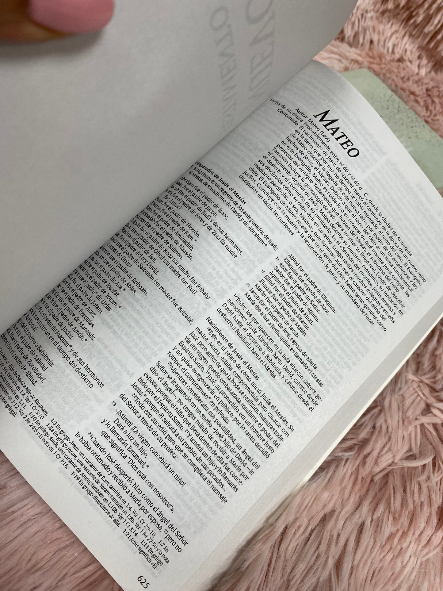 Biblias económicas tapa rústica papel imprenta versión NTV