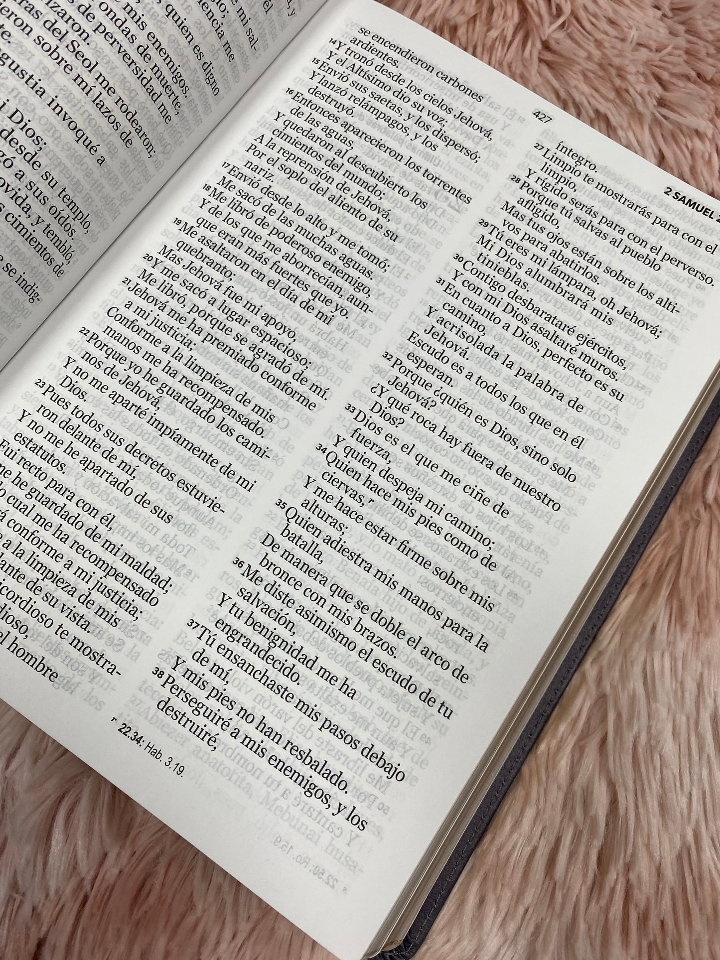 Biblia letra gigante de 15 puntos en tapa flexible con canto dorado versión RV1960