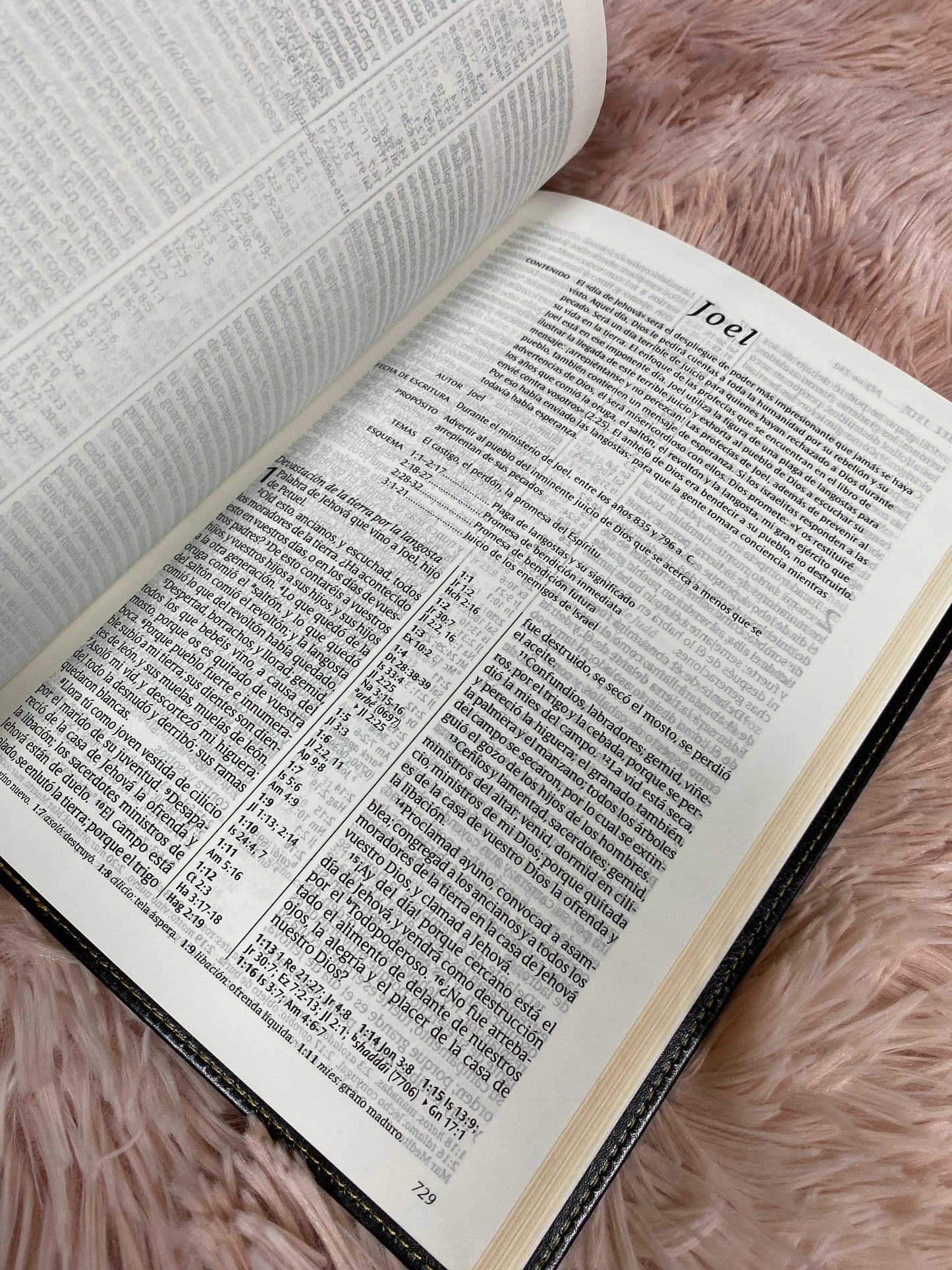 Biblia simil piel ultrafina versión RV1960 canto dorado letra grande palabras de Jesús en rojo