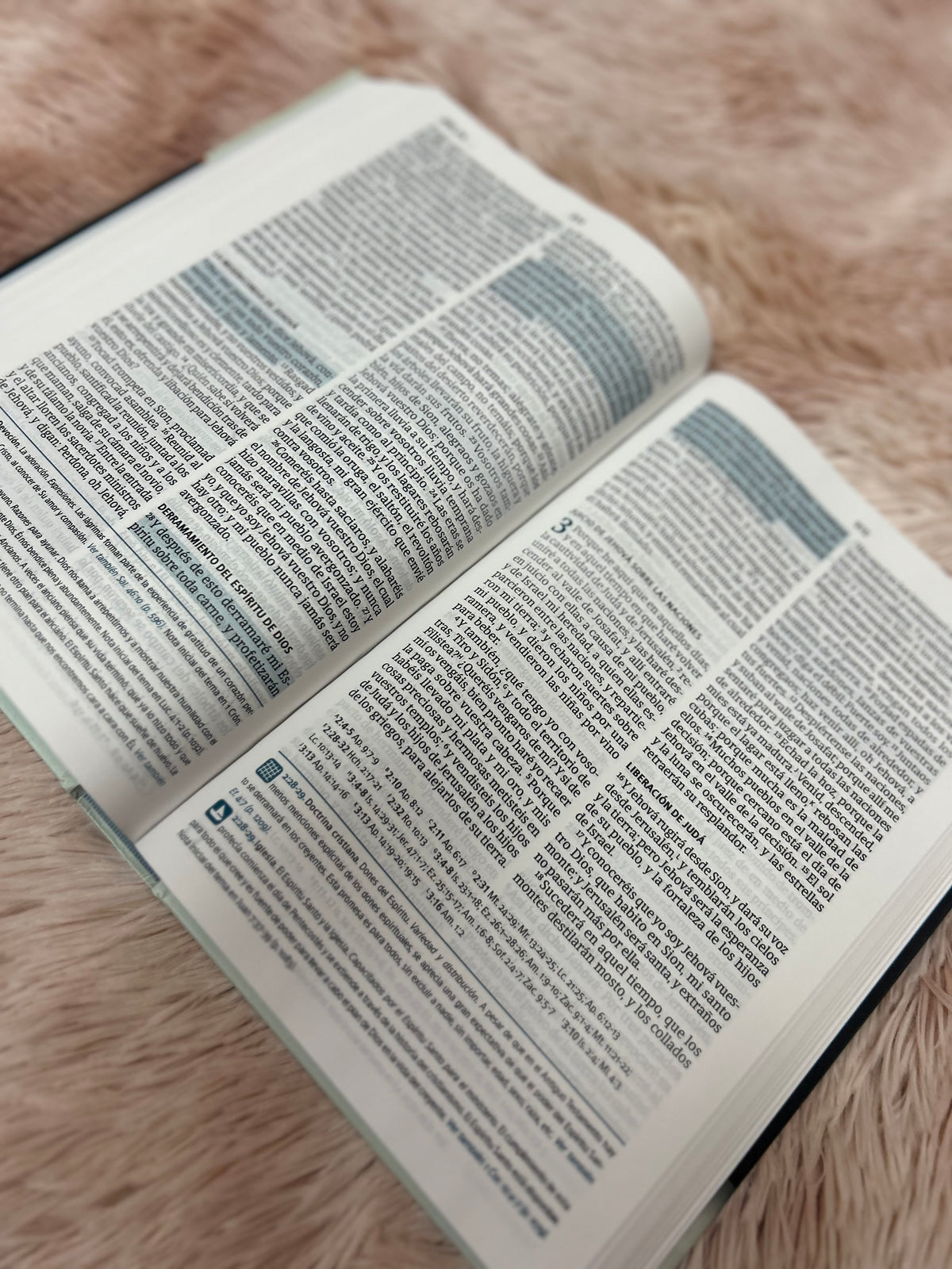 Biblia del pescador letra grande en tapa dura versión RV1960