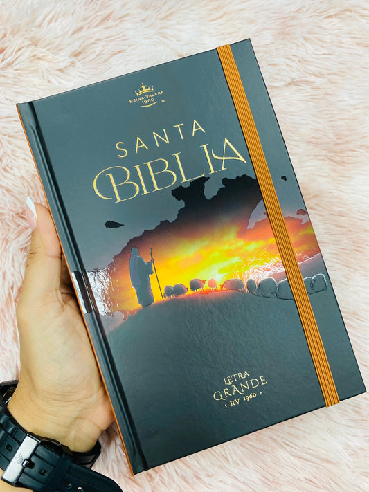 Biblia versión RV1960 de tapa dura diseño en relieve de letra grande 12 puntos con canto pintado, liga, palabras de Jesús en rojo con concordancia