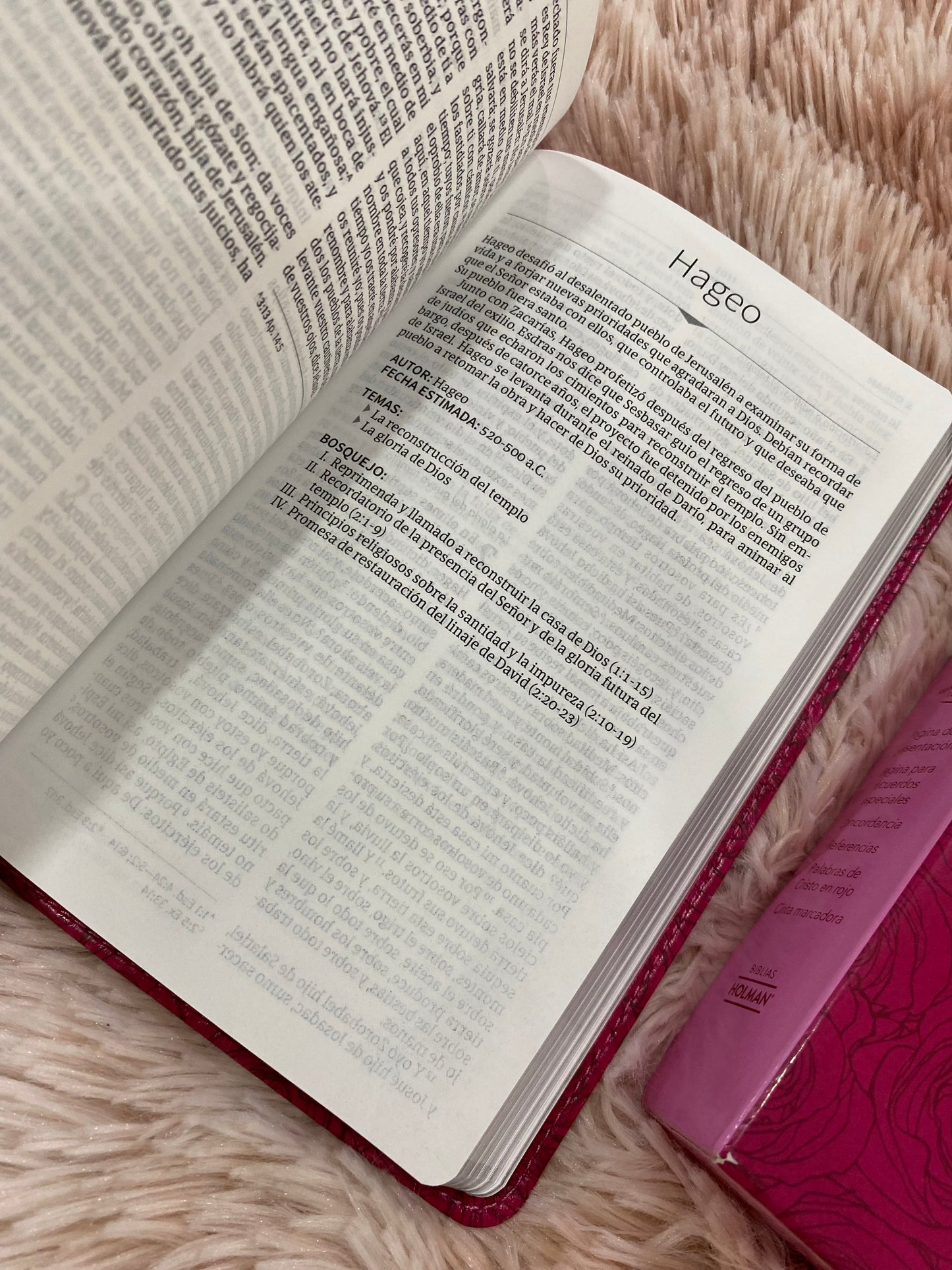 Biblia quinceañera en símil piel con relieve en versión RV1960