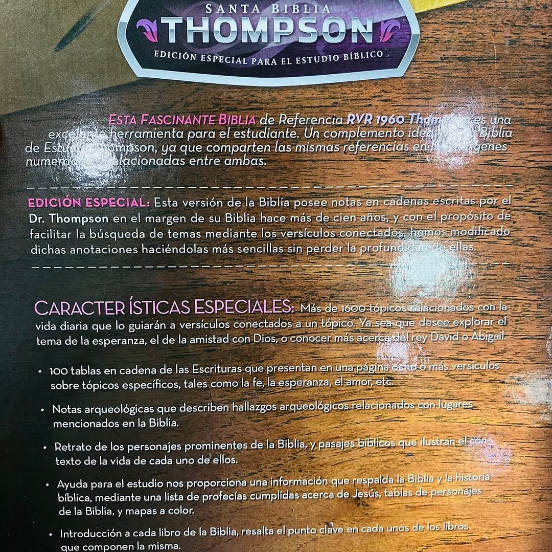 Biblia de estudio Thompson edición especial símil piel y canto plateado