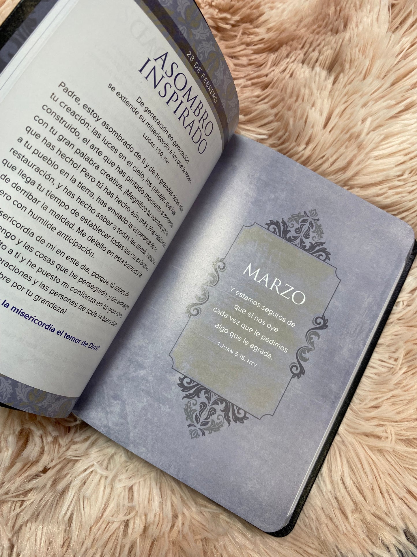 Libro devocional: 365 días de oración para hombres