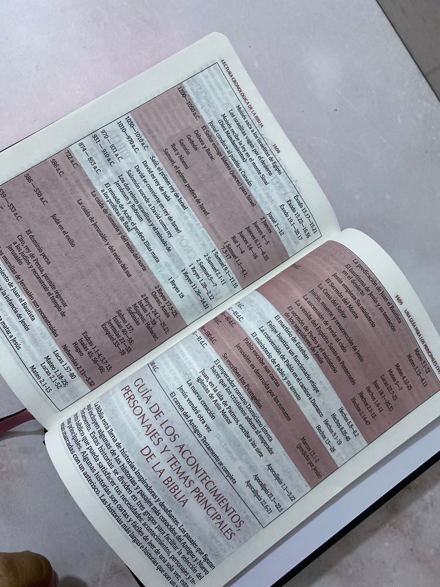 Biblia de promesas tapa dura versión RV1960 letra 8 puntos con concordancia y referencias