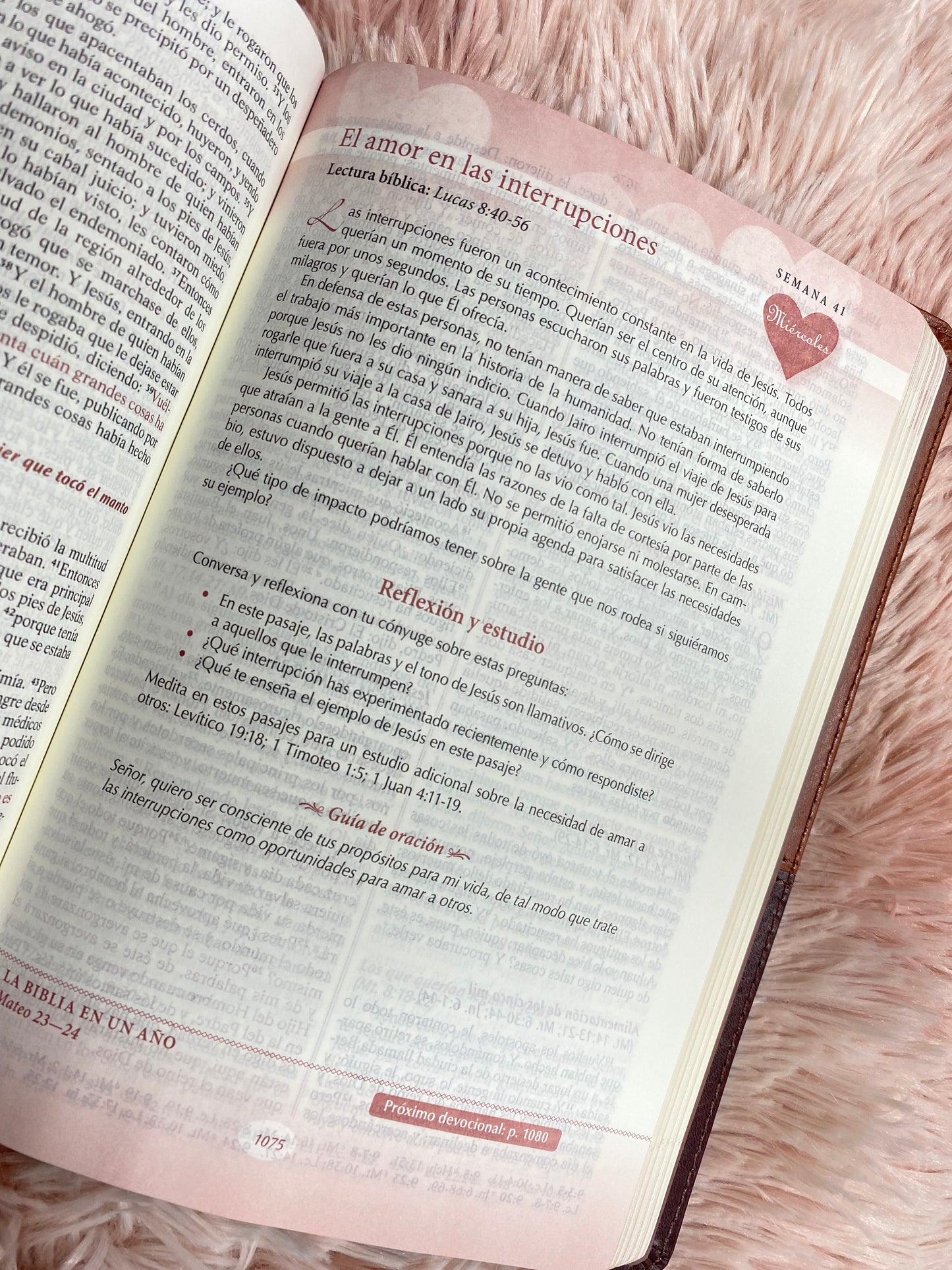Biblia devocional los lenguajes del amor de Gary Chapman versión RV1960