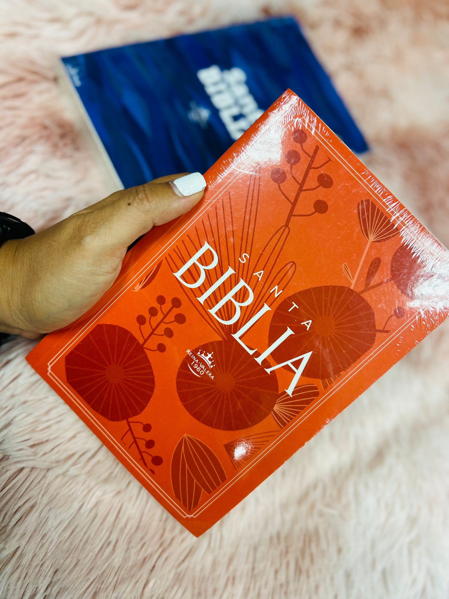 Biblias económicas tapa rústica papel imprenta versión RV1960
