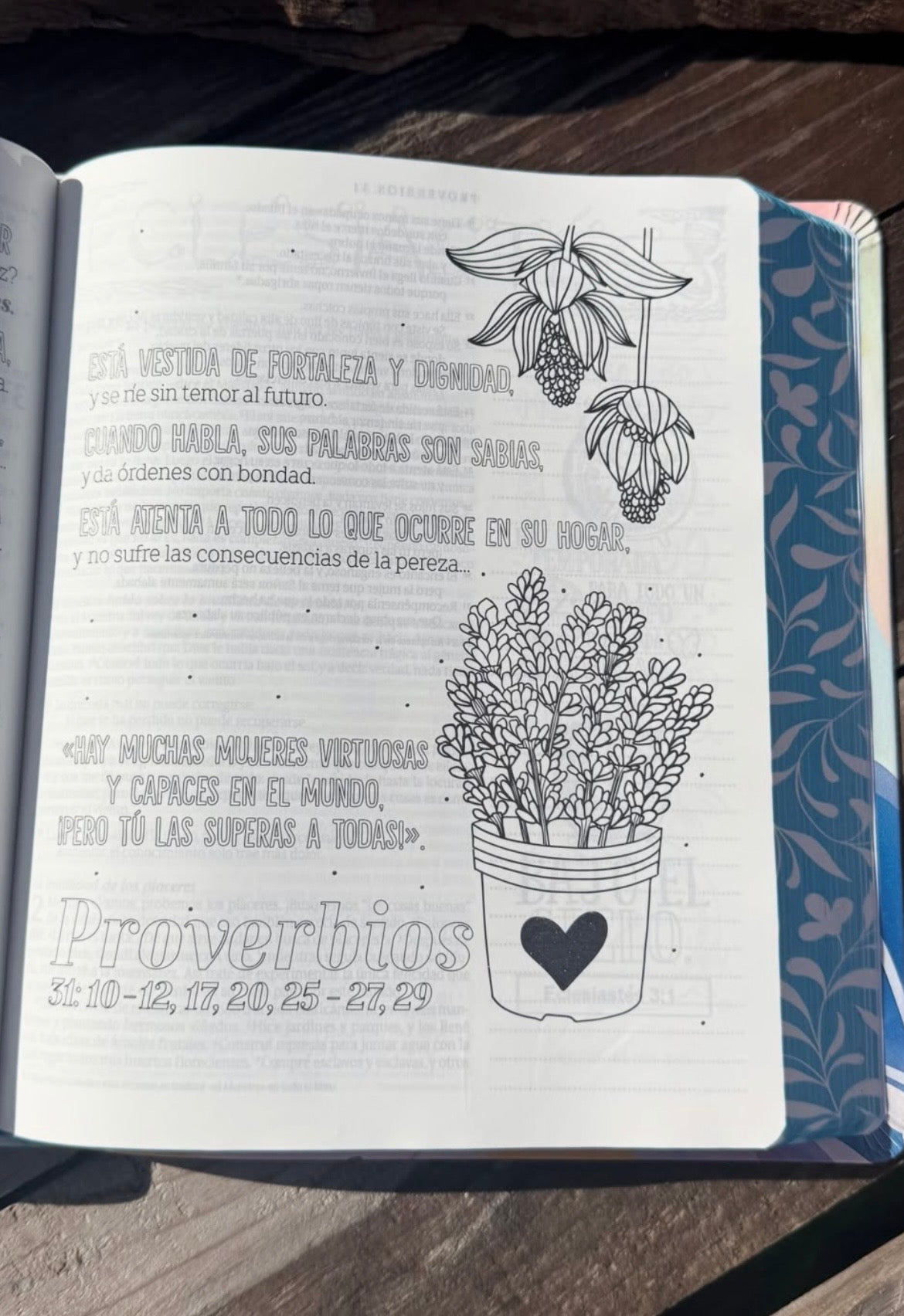 Biblia inspira artística de apuntes e ilustraciones versión NTV letra mediana
