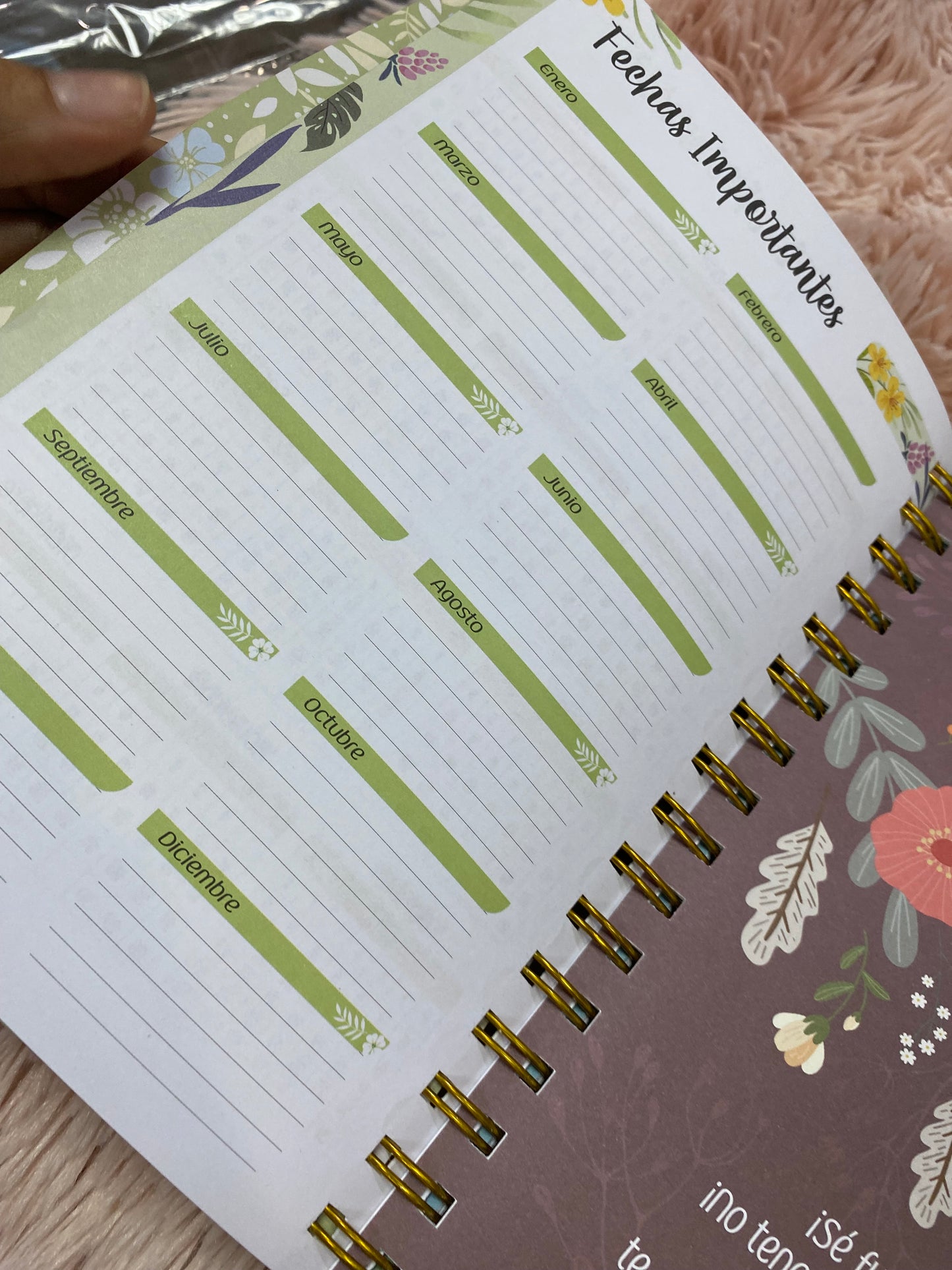 Agendas 2026 - Esforzada y valiente con espirales