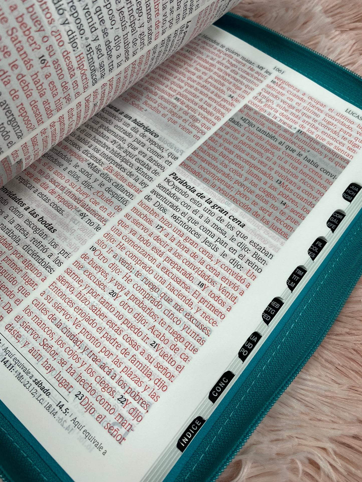Biblia de promesas en símil piel con cierre e índice tamaño de letra 13 puntos palabras de Jesús en rojo
