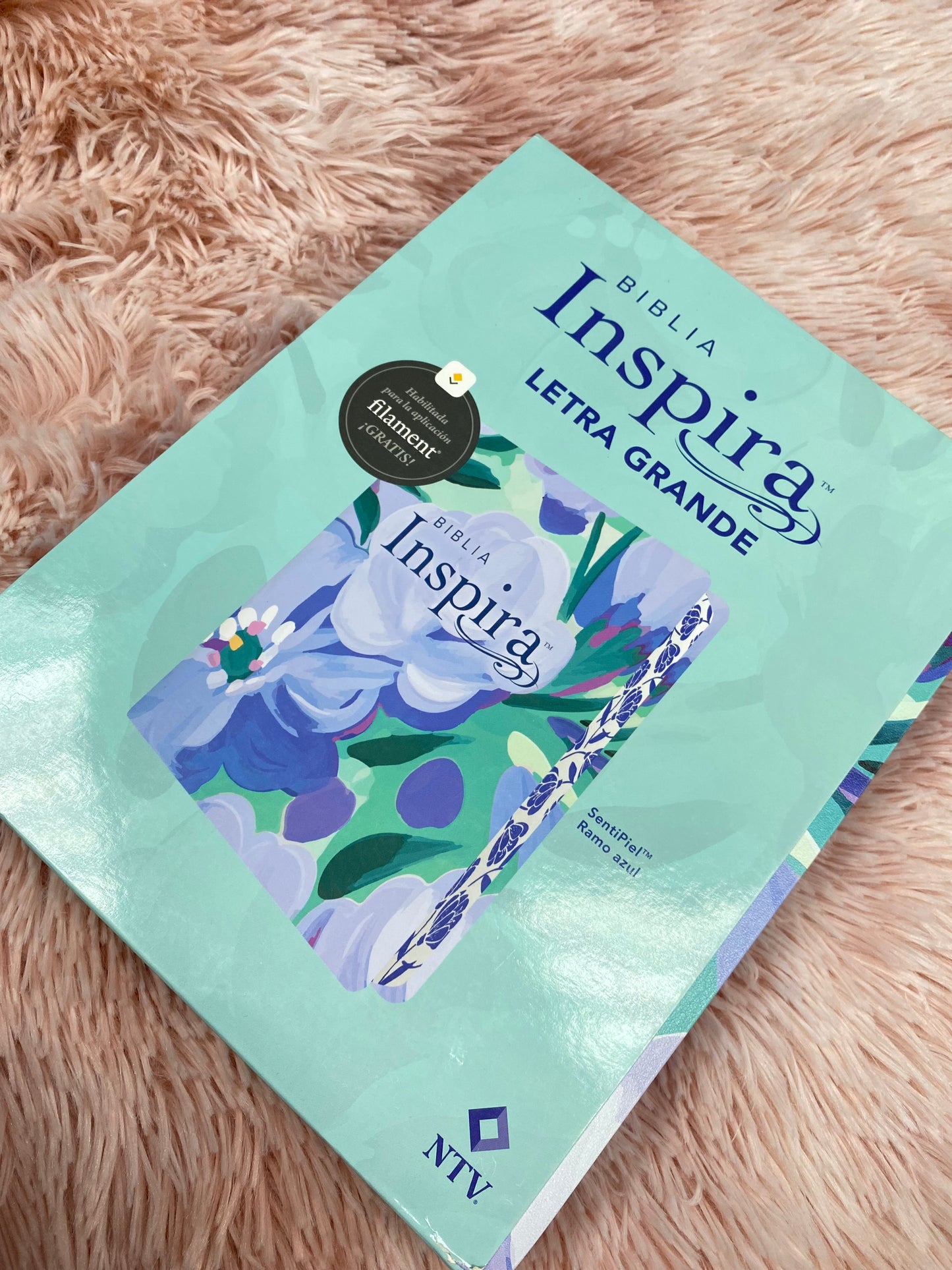 Biblia inspira artística versión NTV de letra grande