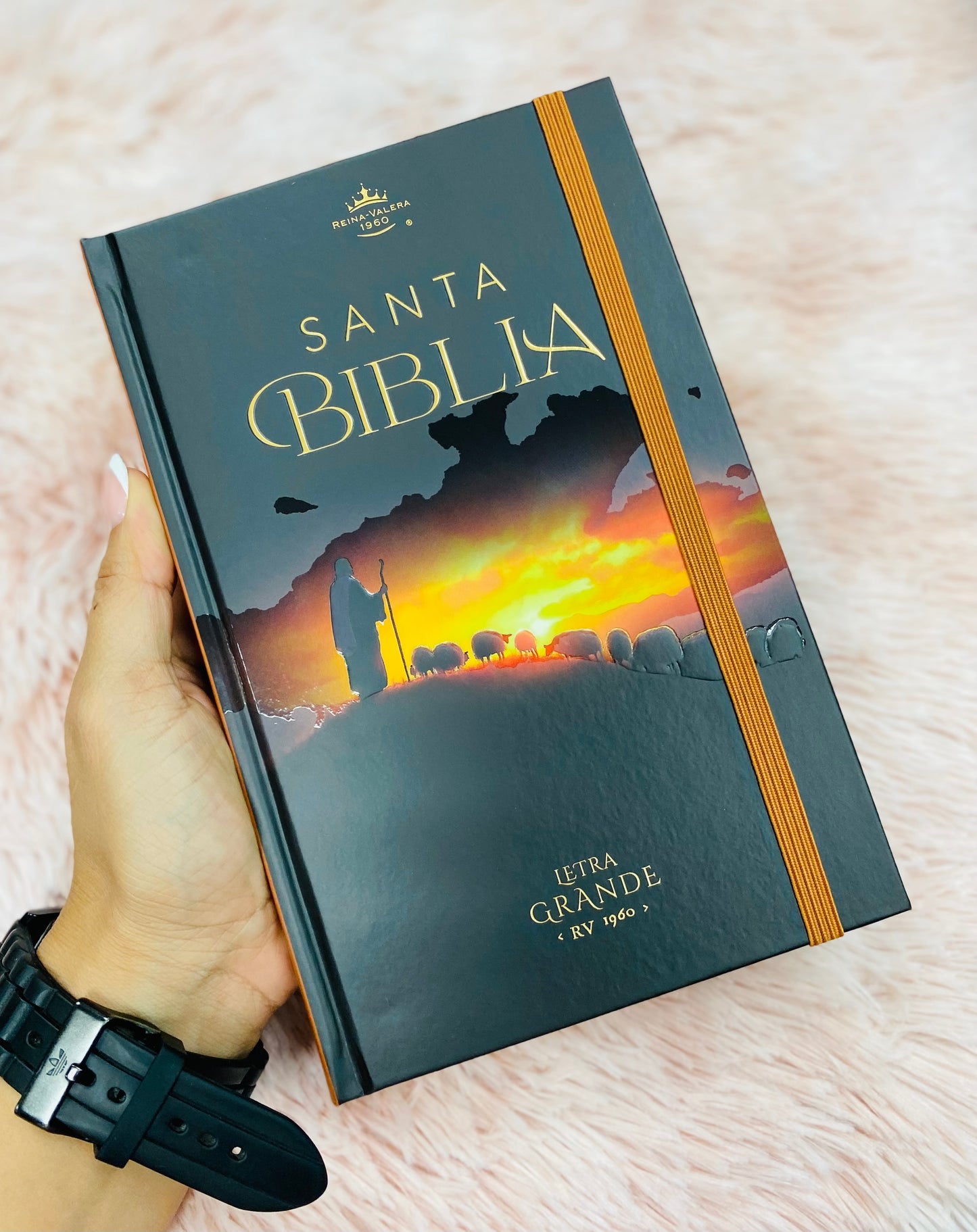 Biblia versión RV1960 de tapa dura diseño en relieve de letra grande 12 puntos con canto pintado, liga, palabras de Jesús en rojo con concordancia