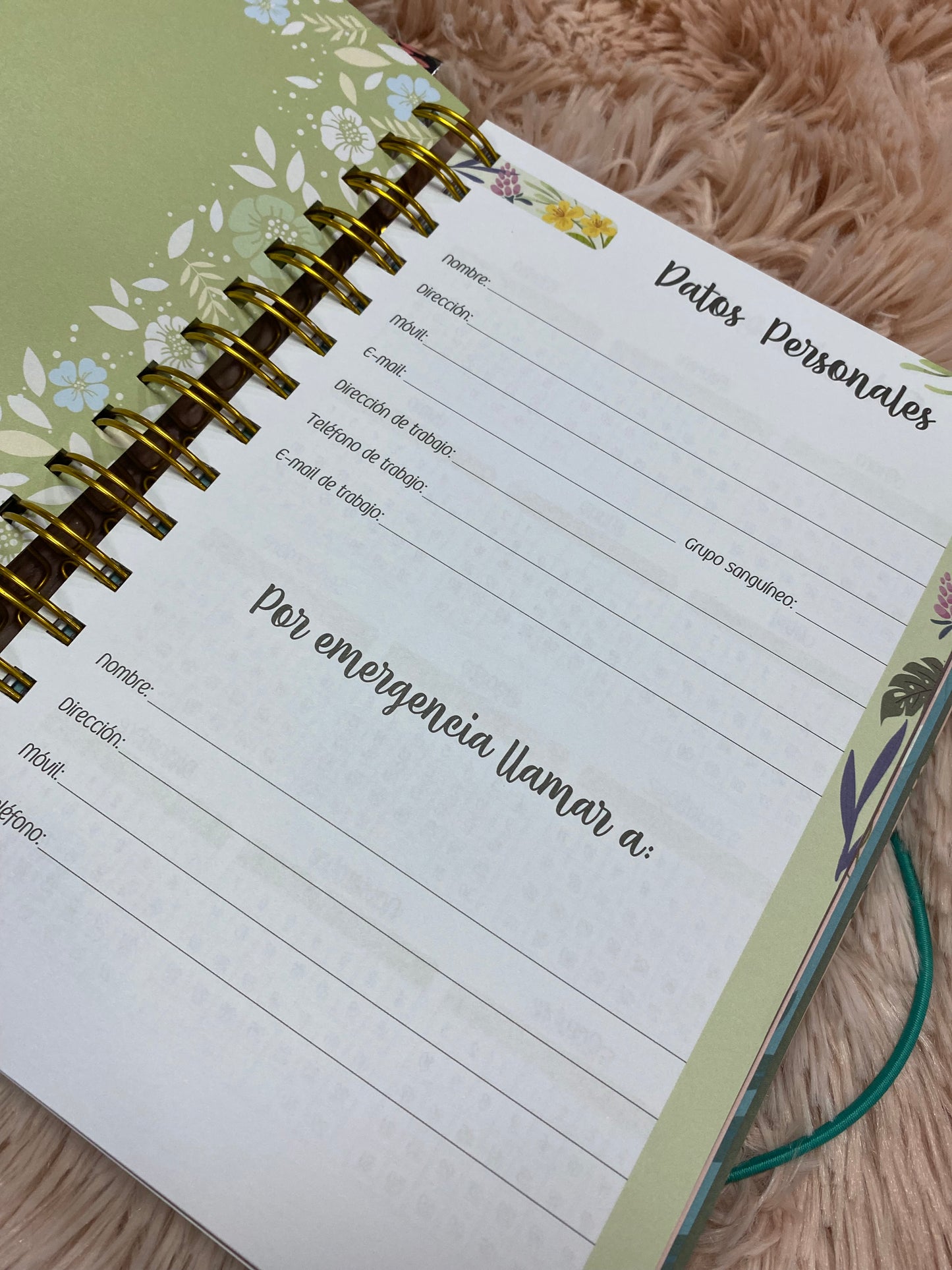 Agendas 2026 - Esforzada y valiente con espirales