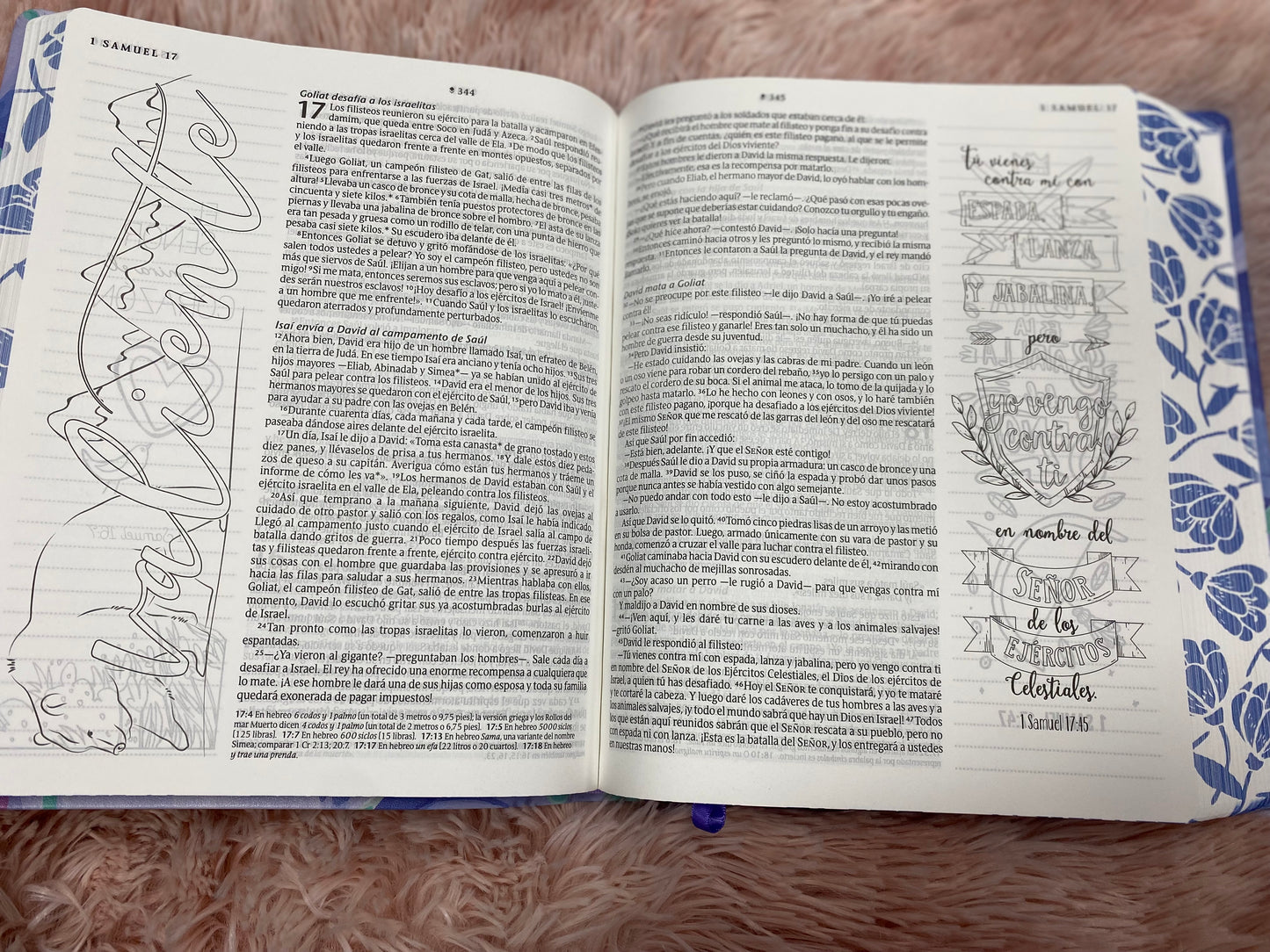 Biblia inspira artística versión NTV de letra grande