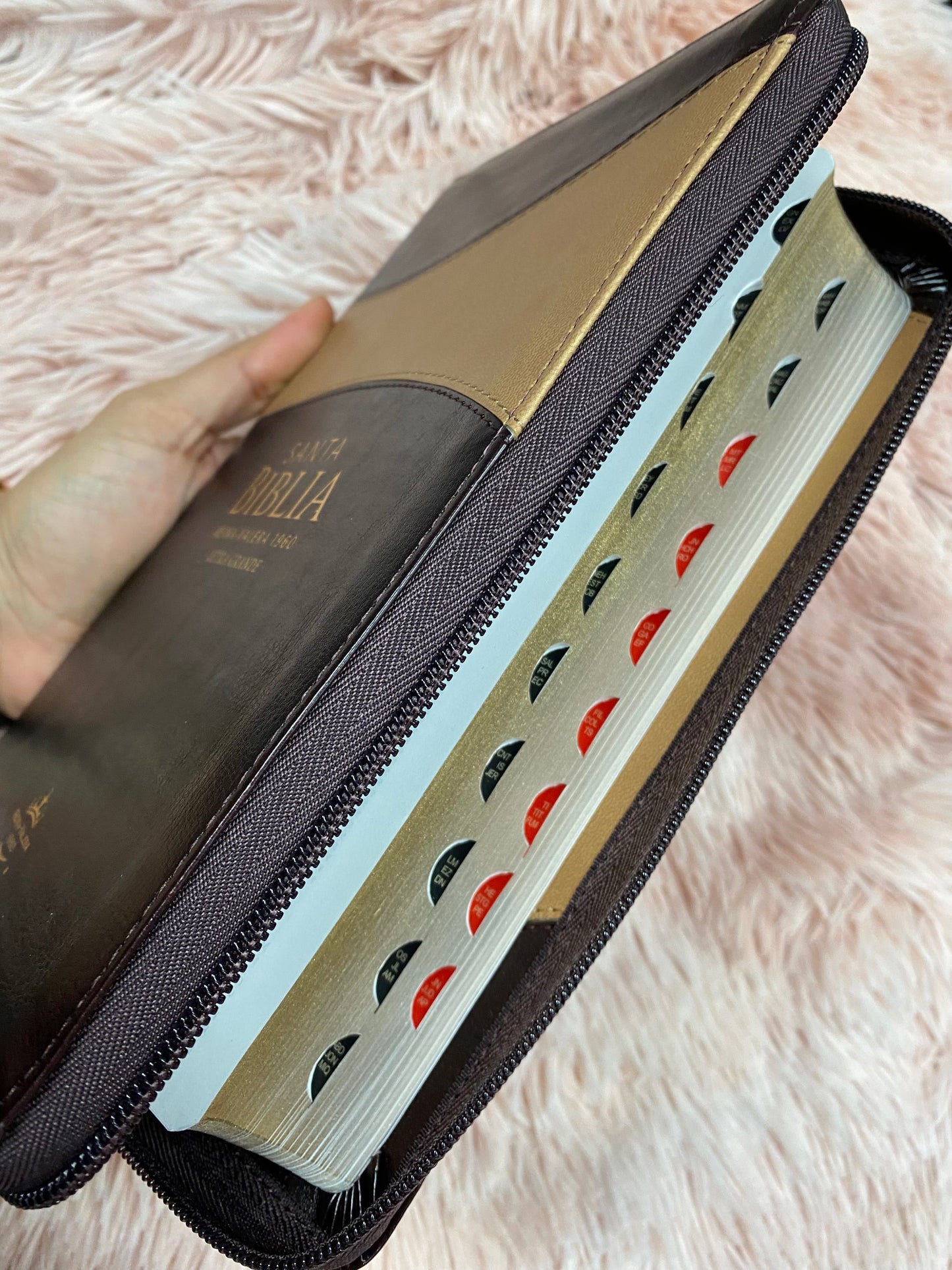 Biblia de letra grande 12 puntos de versión RV1960 con índice y cierre con concordancia en símil piel