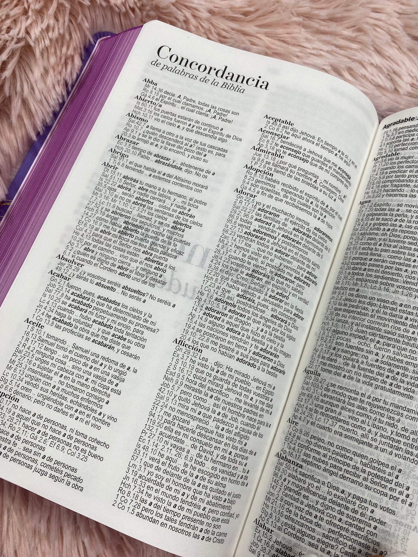 Biblia versión RV1960 en imitación piel de alta calidad letra grande 11,5 puntos y cierre canto pintado con concordancia y palabras de Jesús en rojo