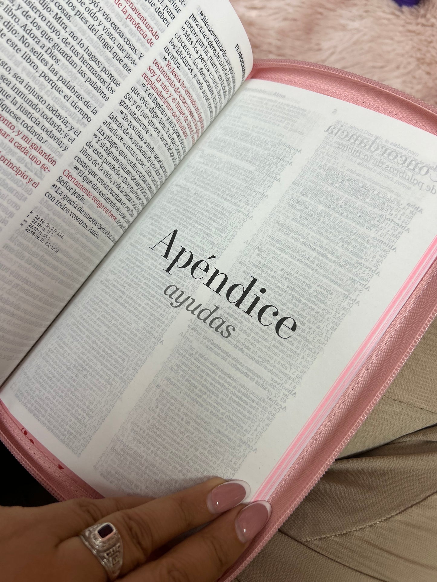 Biblia de letra grande 11,5 puntos con cierre en símil piel canto pintado palabras de Jesús en rojo y concordancia