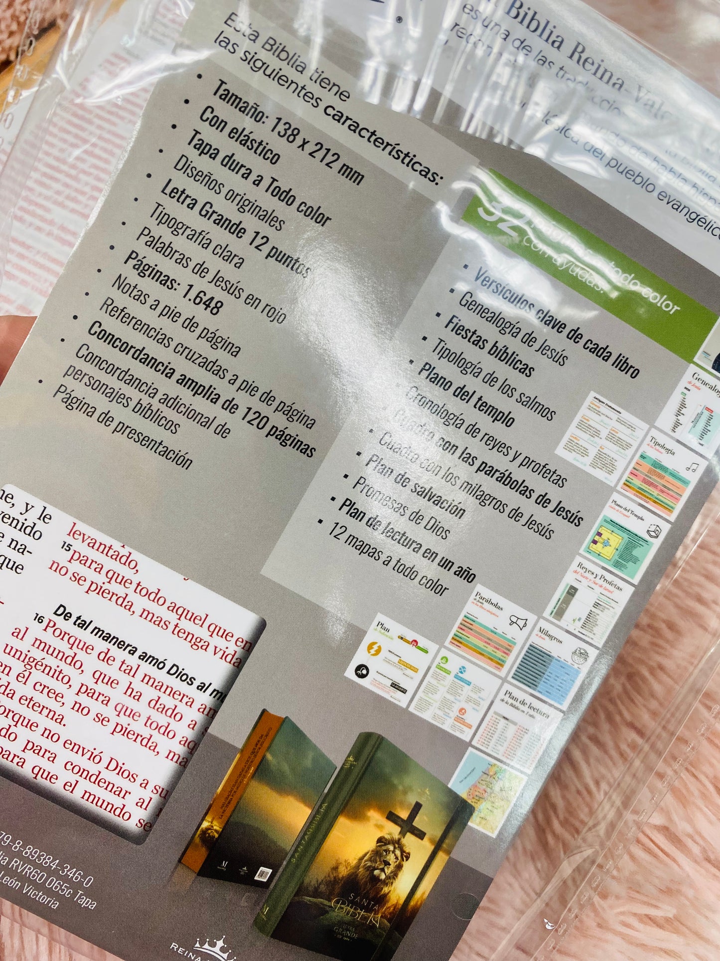 Biblia versión RV1960 de tapa dura diseño en relieve de letra grande 12 puntos con canto pintado, liga, palabras de Jesús en rojo con concordancia