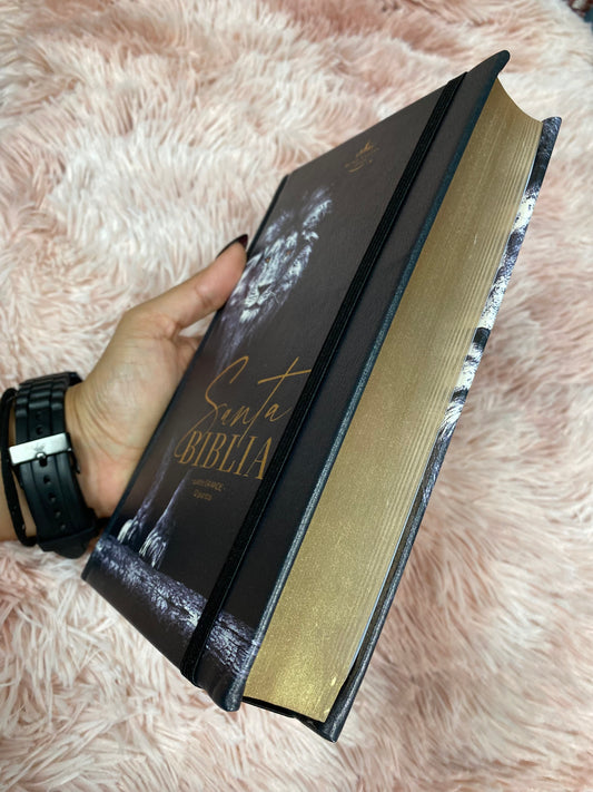 Biblia tapa dura letra grande canto dorado palabras de Jesús en rojo versión RV1960