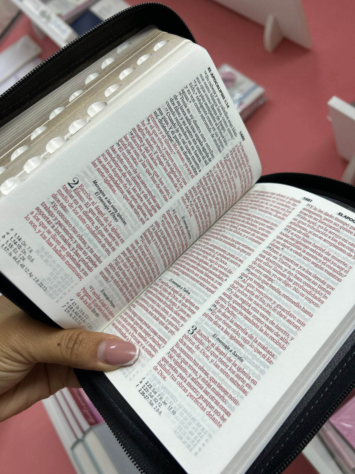 Biblia letra grande 10 puntos con cierre e índice canto pintado palabras de Jesús y concordancia en rojo versión RV1960 león de Juda