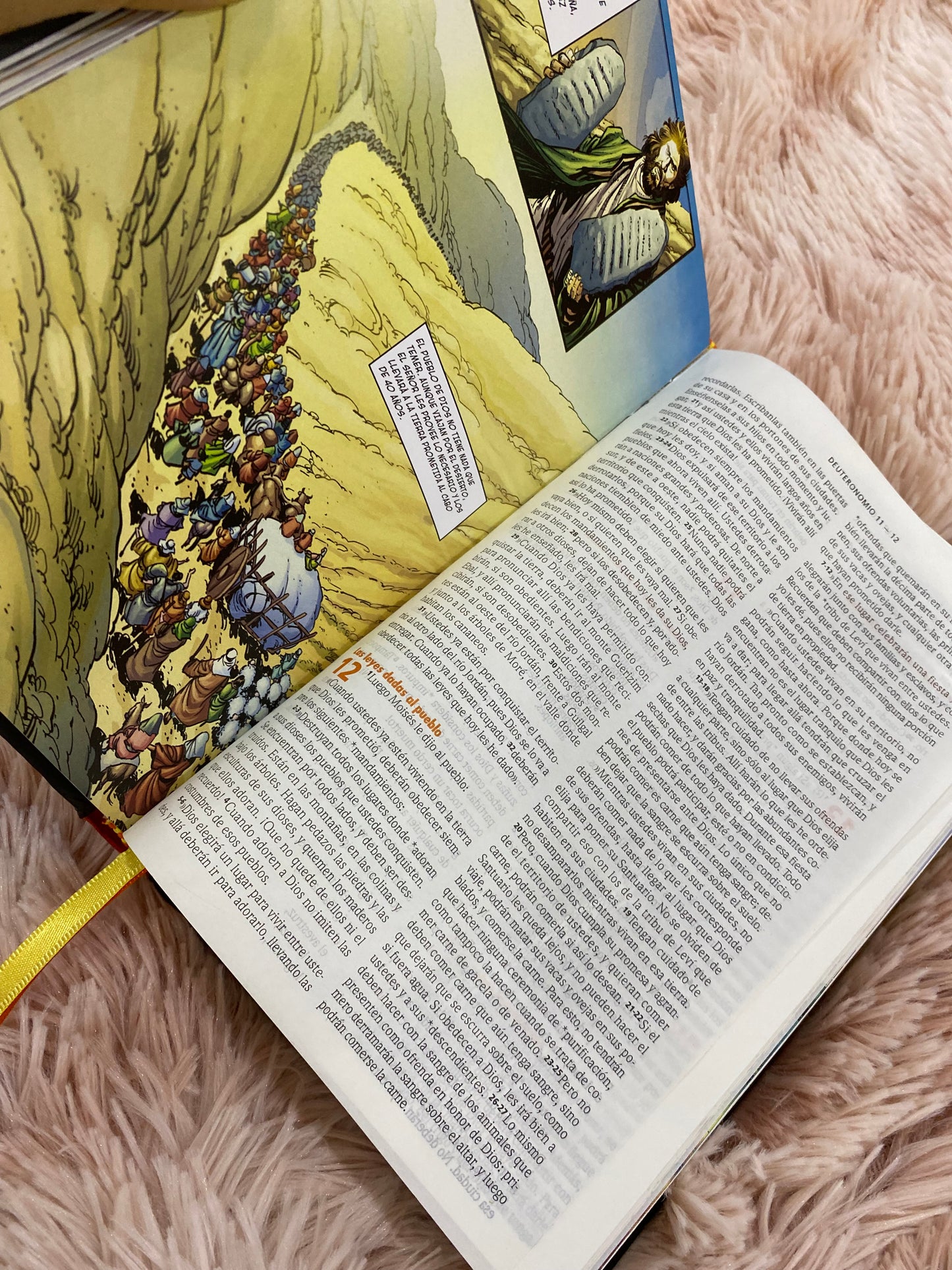 Biblia de estudio: la biblia en acción para jóvenes y niños