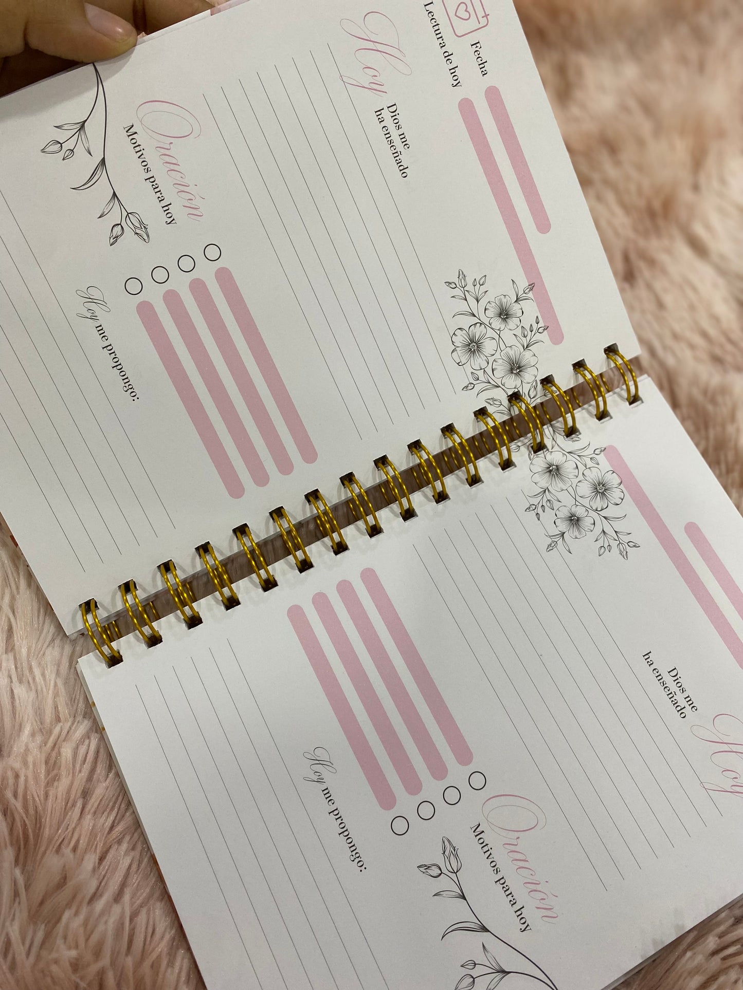 Diario devocional; mis momentos con Dios con espiral tapa dura