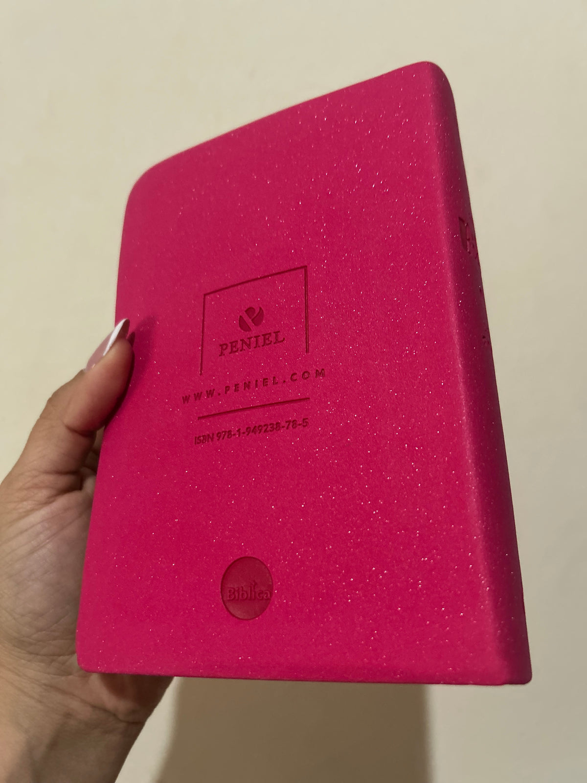 Biblia letra grande tamaño compacto versión NVI canto plateado palabras de Jesús en rojo