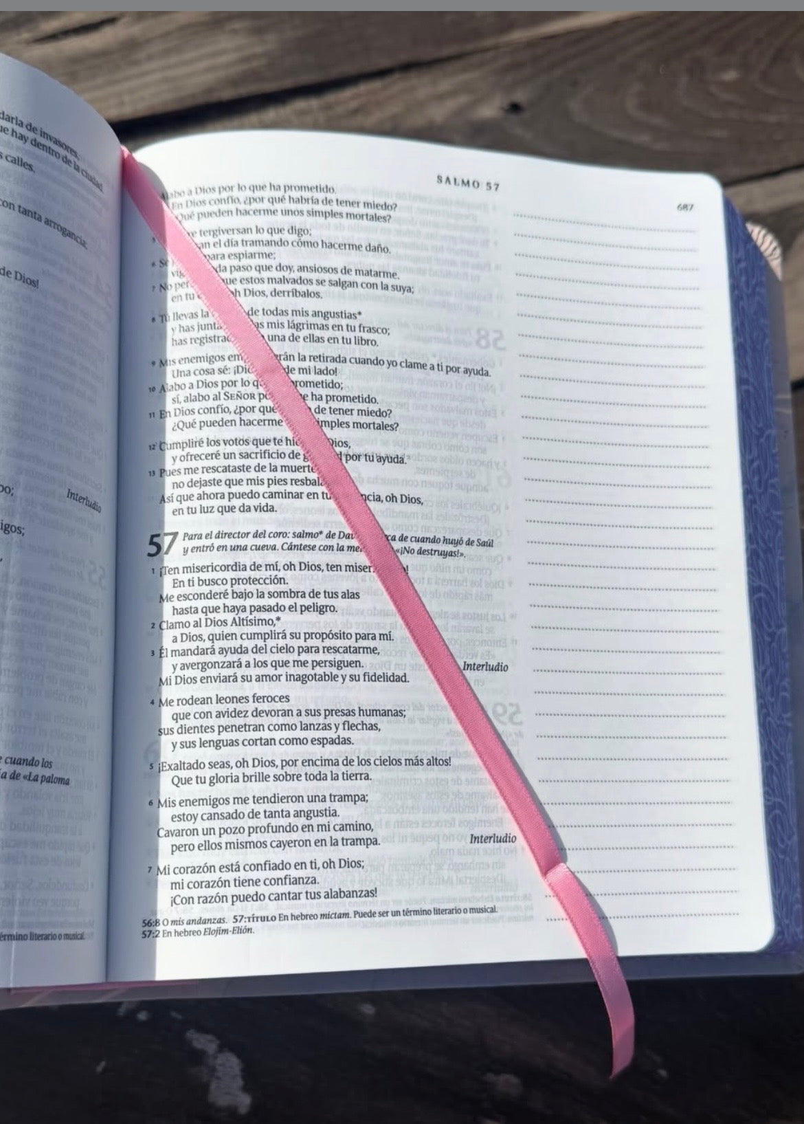 Biblia inspira artística de apuntes e ilustraciones versión NTV letra mediana