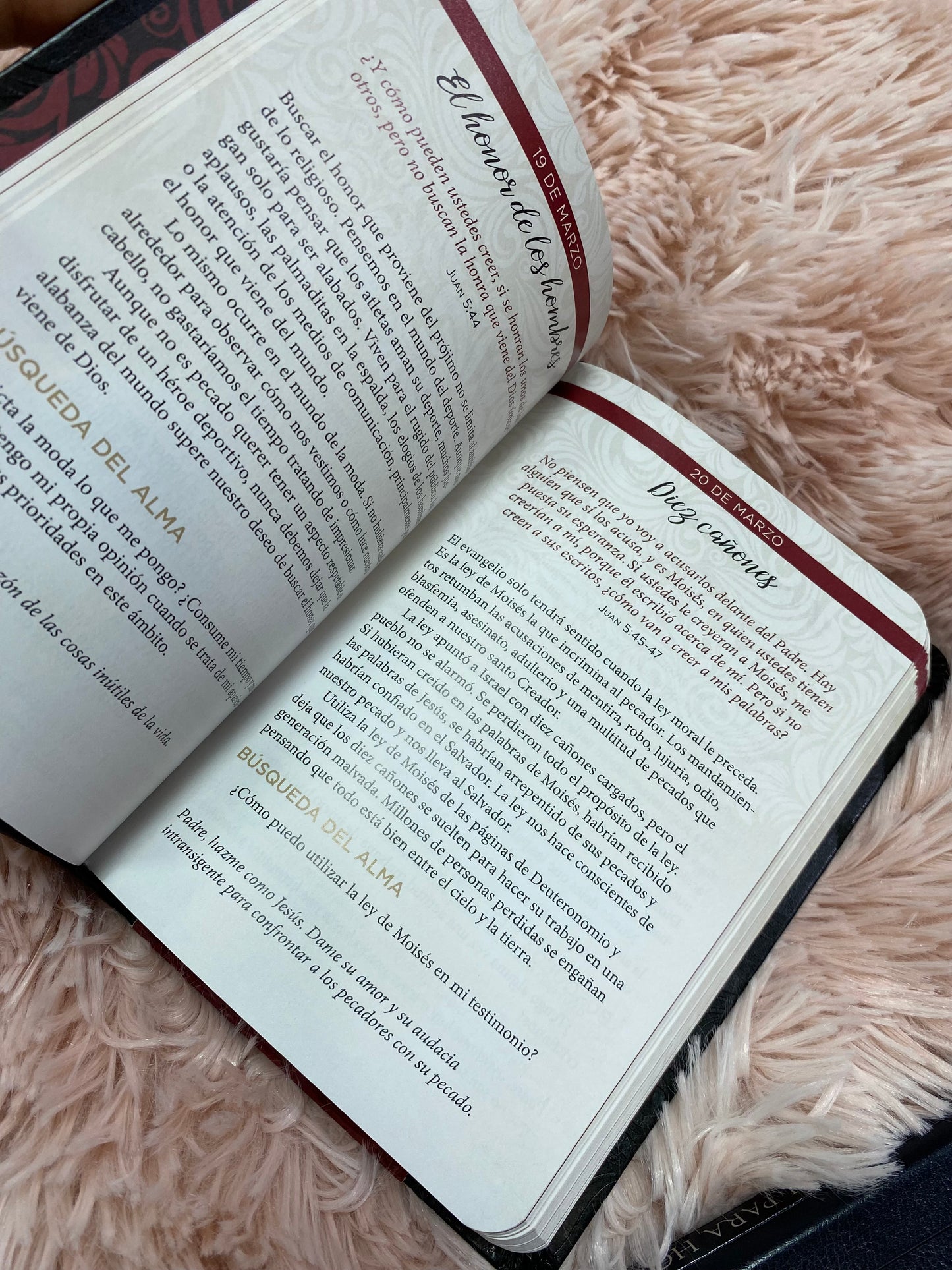 Libro devocional: Jesús en rojo meditaciones sobre la palabra de Jesús