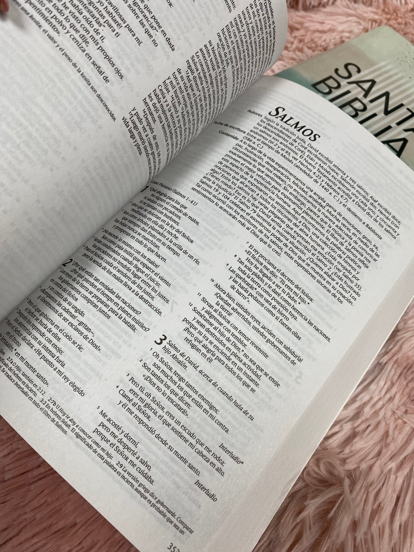 Biblias económicas tapa rústica papel imprenta versión NTV