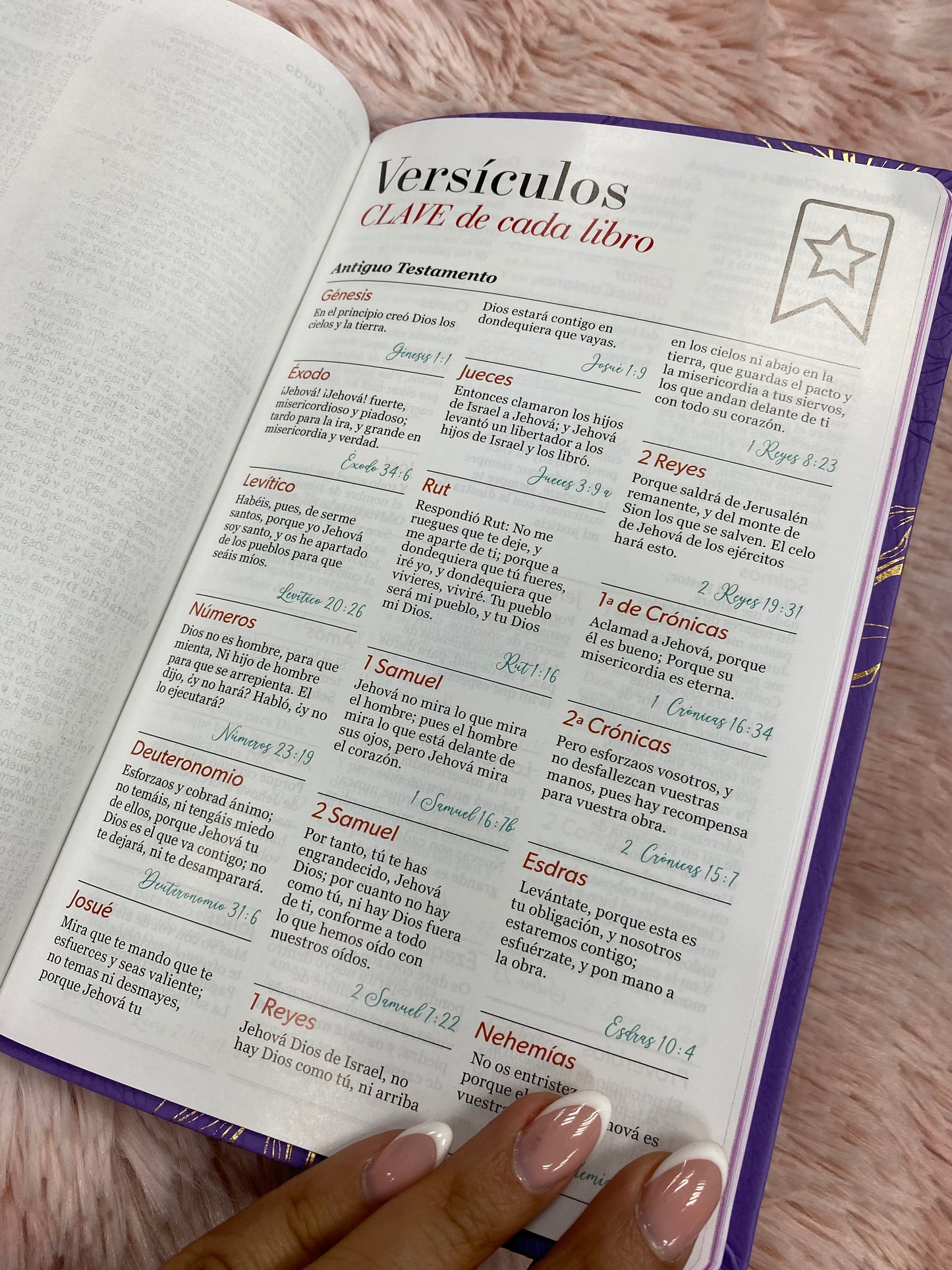 Biblia versión RV1960 en imitación piel de alta calidad letra grande 11,5 puntos y cierre canto pintado con concordancia y palabras de Jesús en rojo