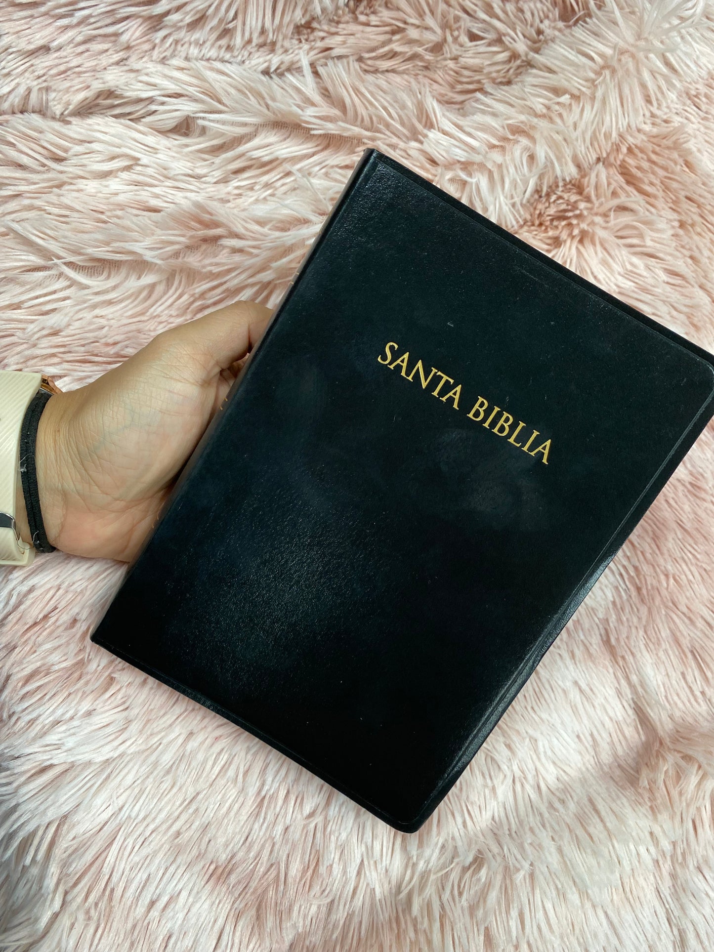 Biblia versión RV1960 tapa flexible letra mediana palabras de Jesús en rojo