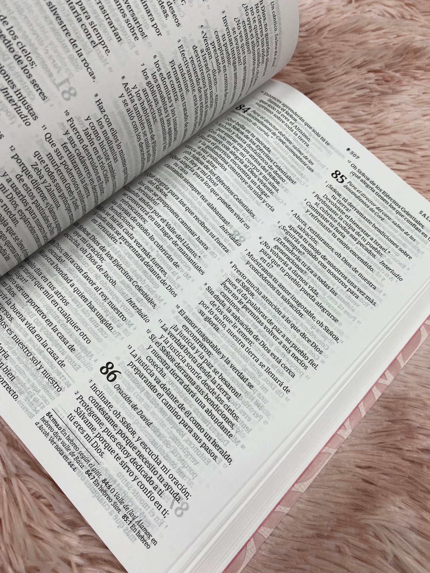 Biblia versión NTV de letra grande en símil piel