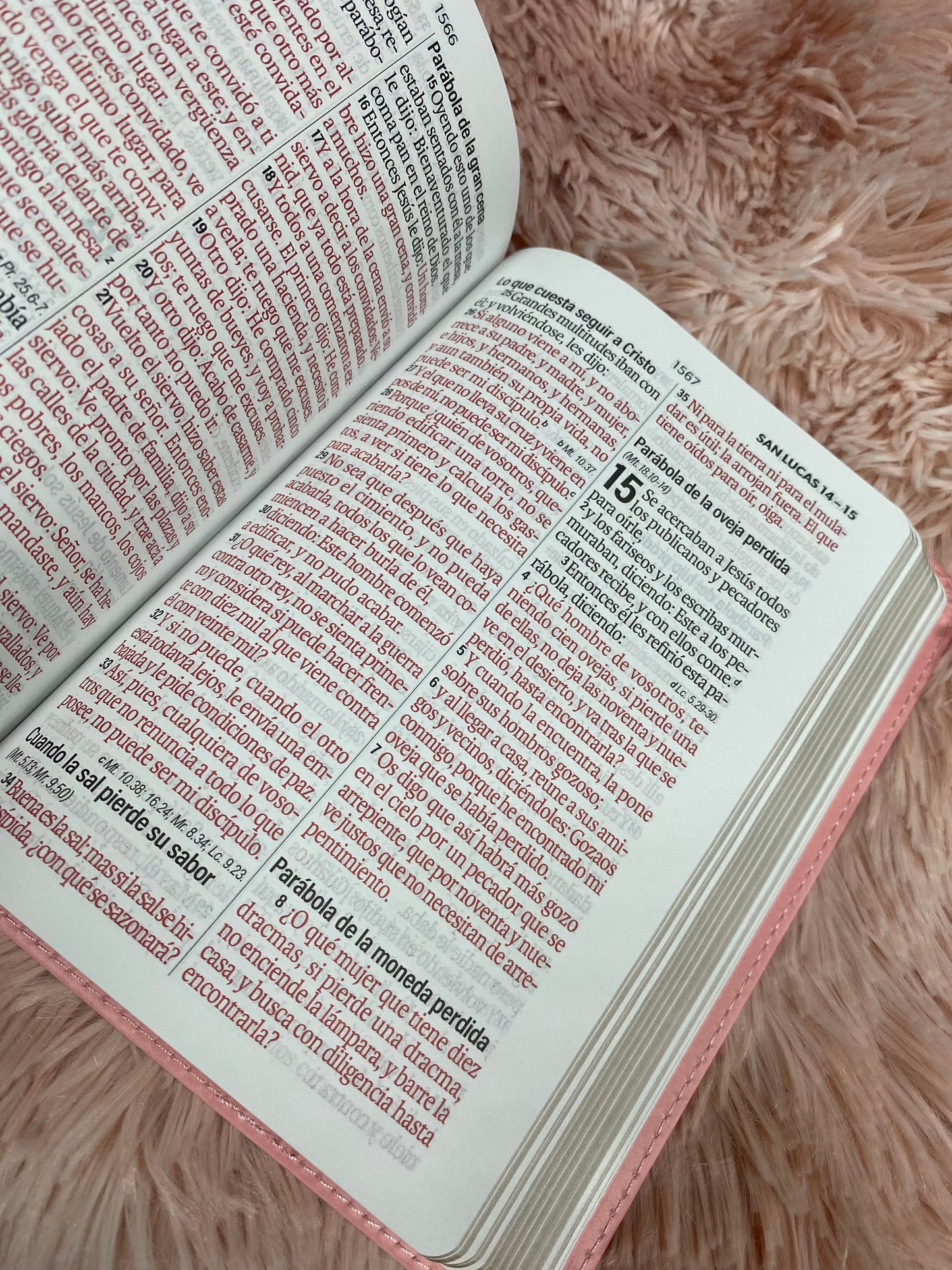Biblia pequeña de letras grandes 12 puntos versión RV1960 canto dorado tapa flexible simil piel con concordancia